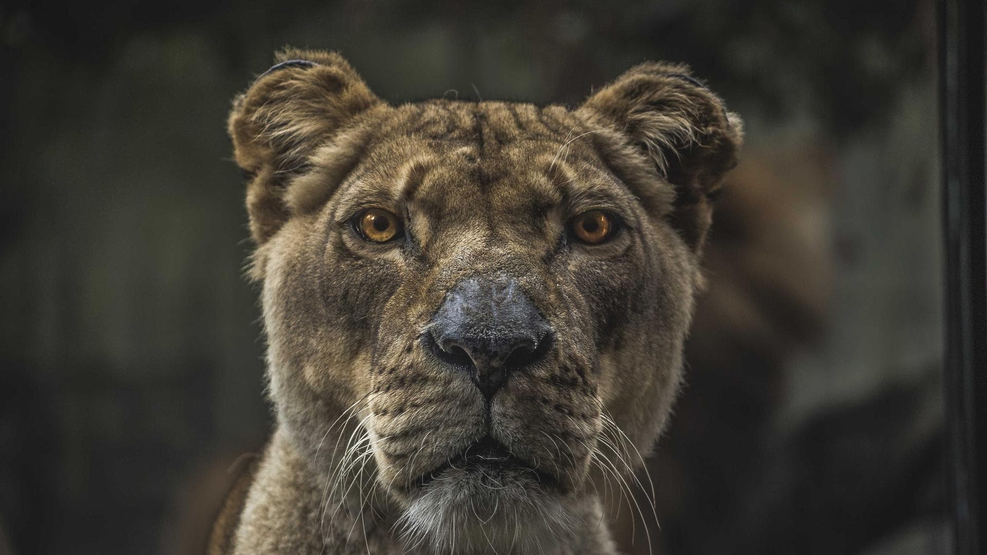 Featured photography by BTRSSHOTS