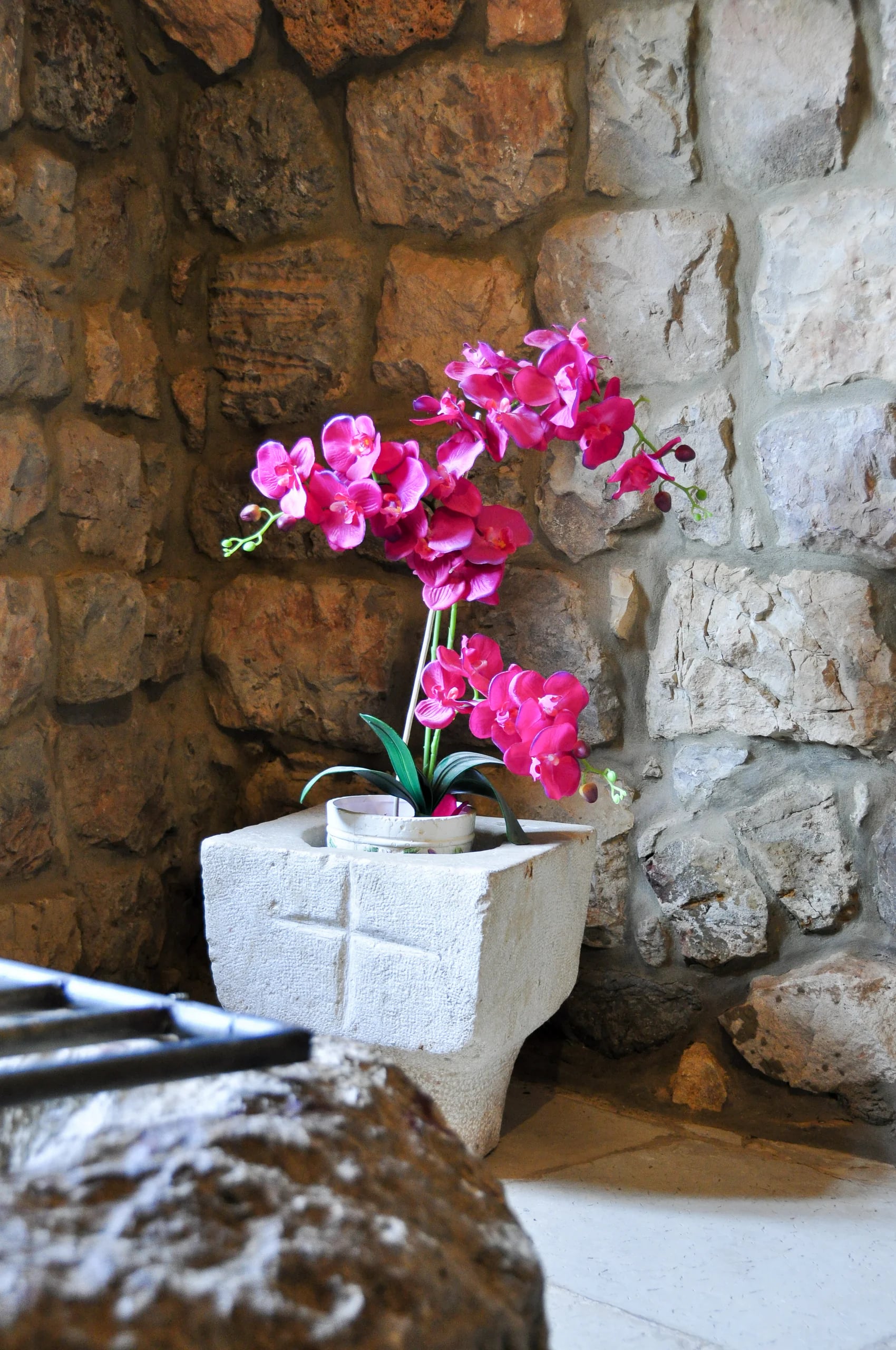 Closeup & Flowers photograph 3