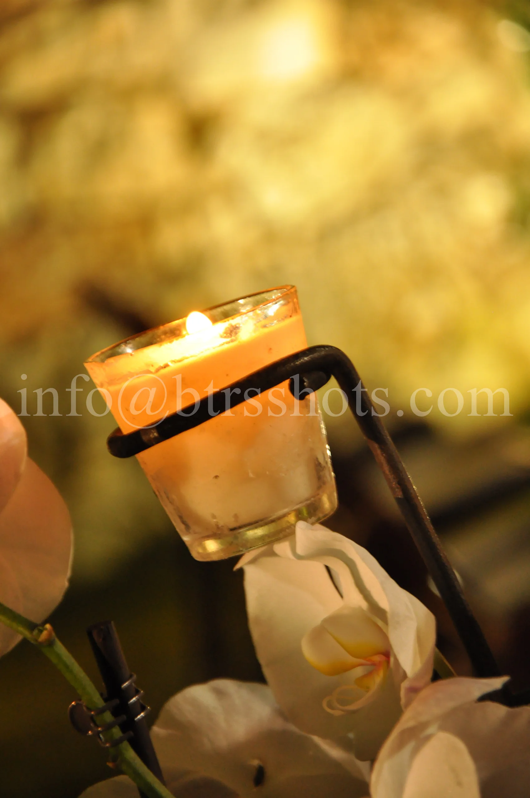 Closeup & Flowers photograph 5