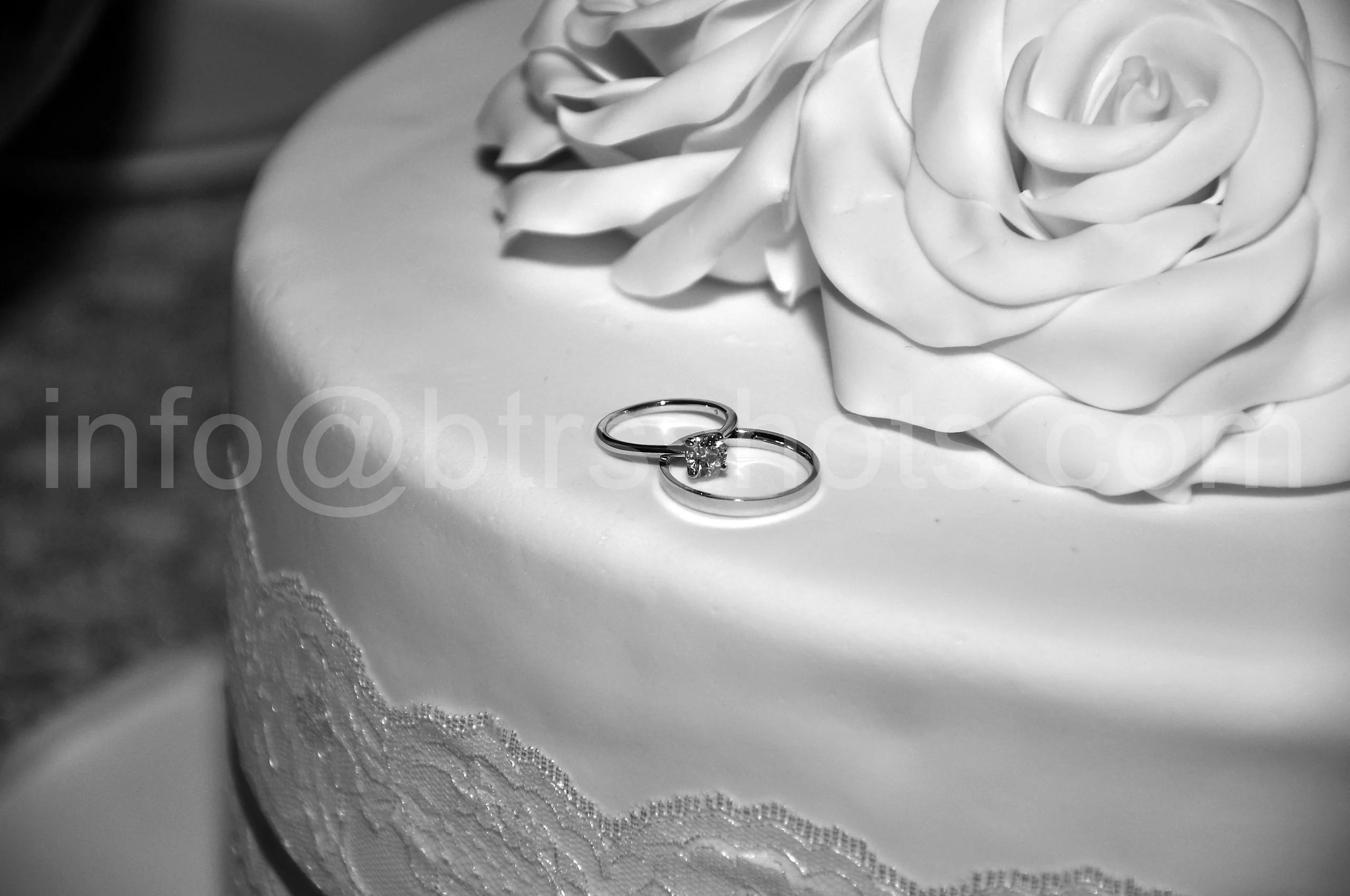 Closeup & Flowers photograph 7