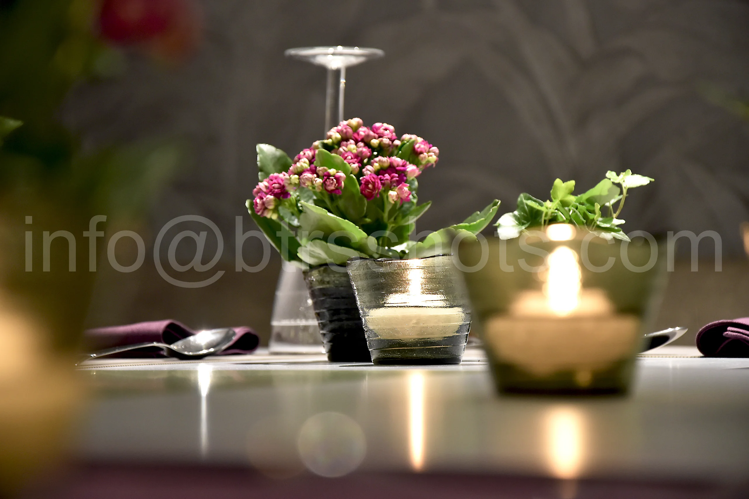 Closeup & Flowers photograph 30