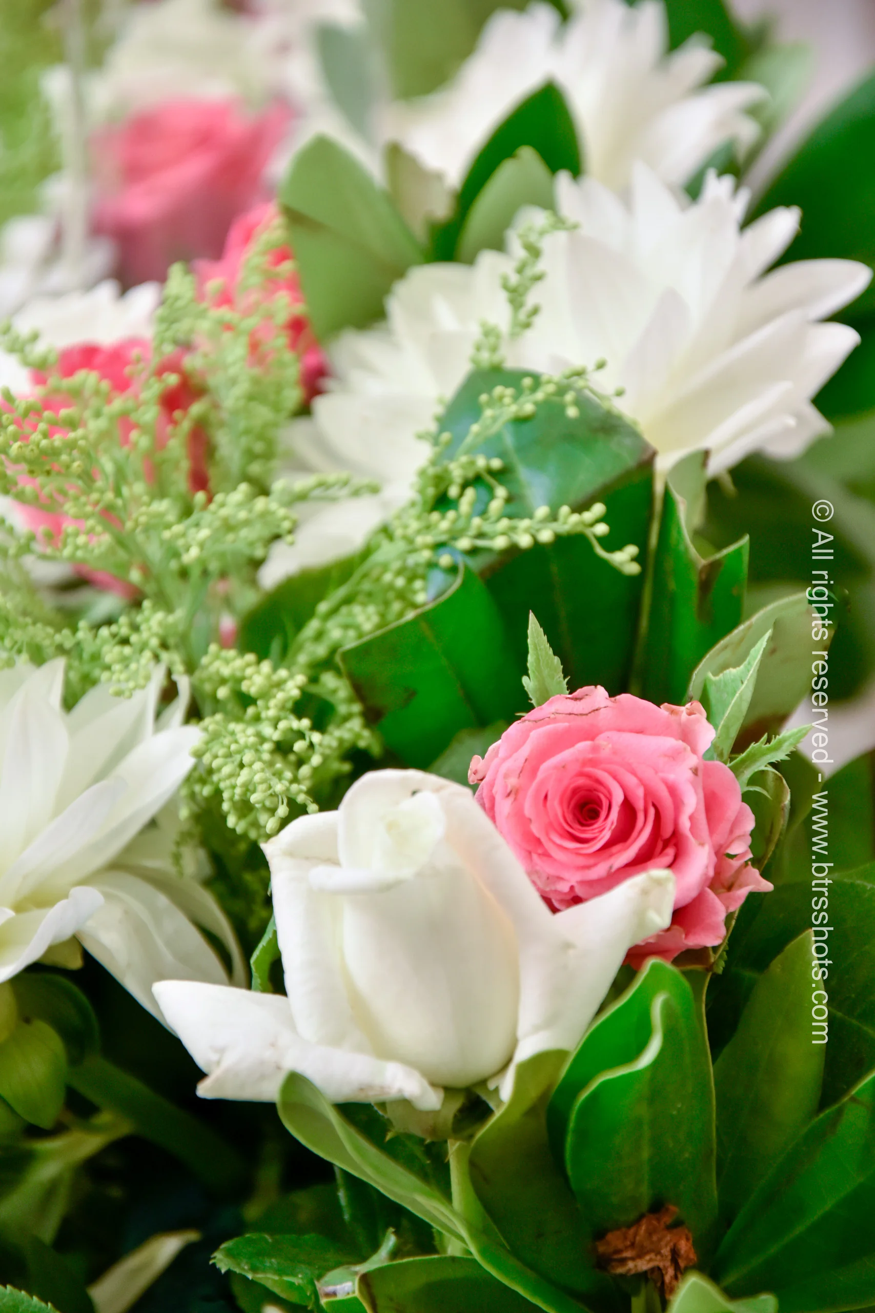 Closeup & Flowers photograph 32