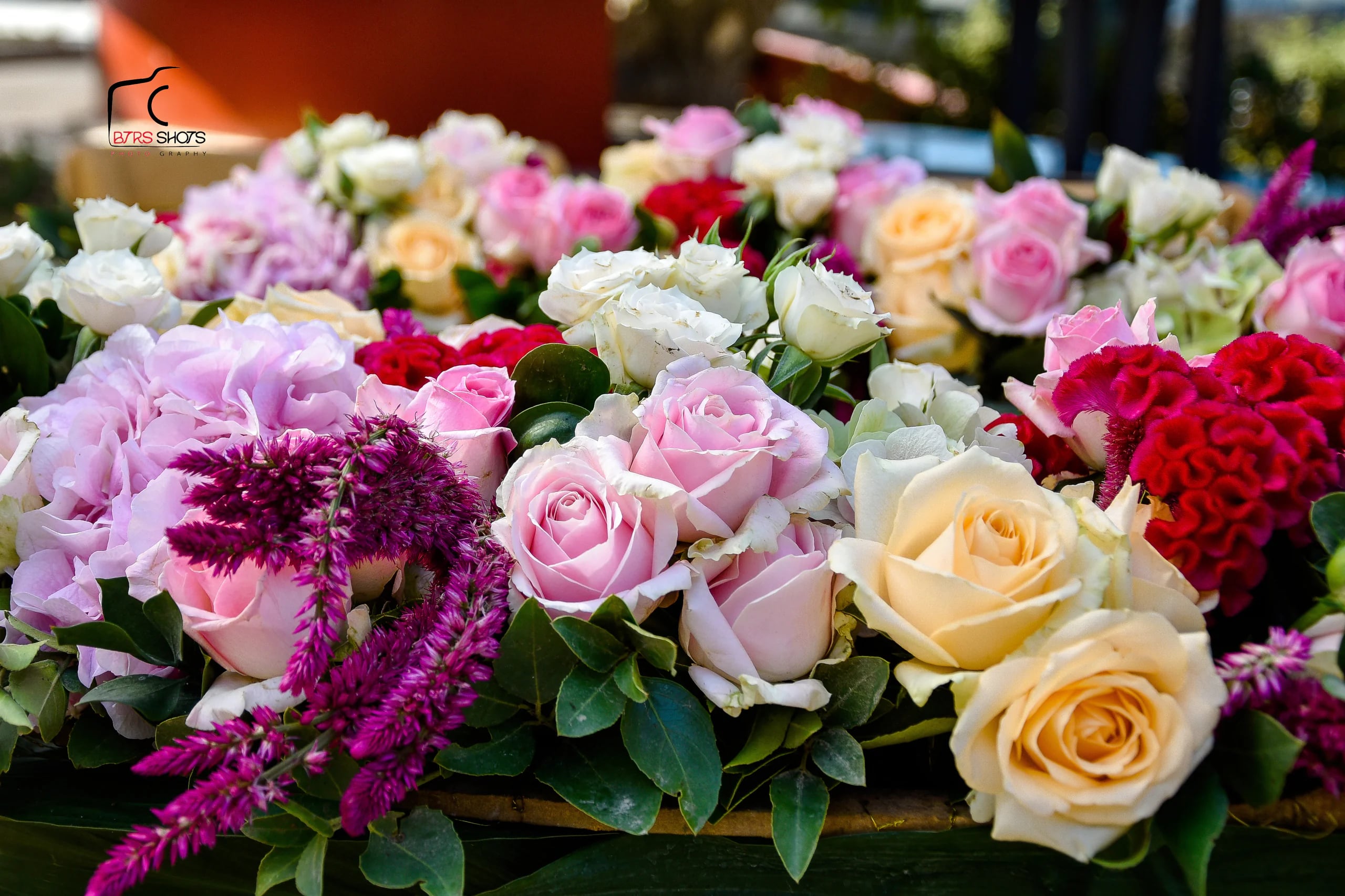 Closeup & Flowers photograph 33