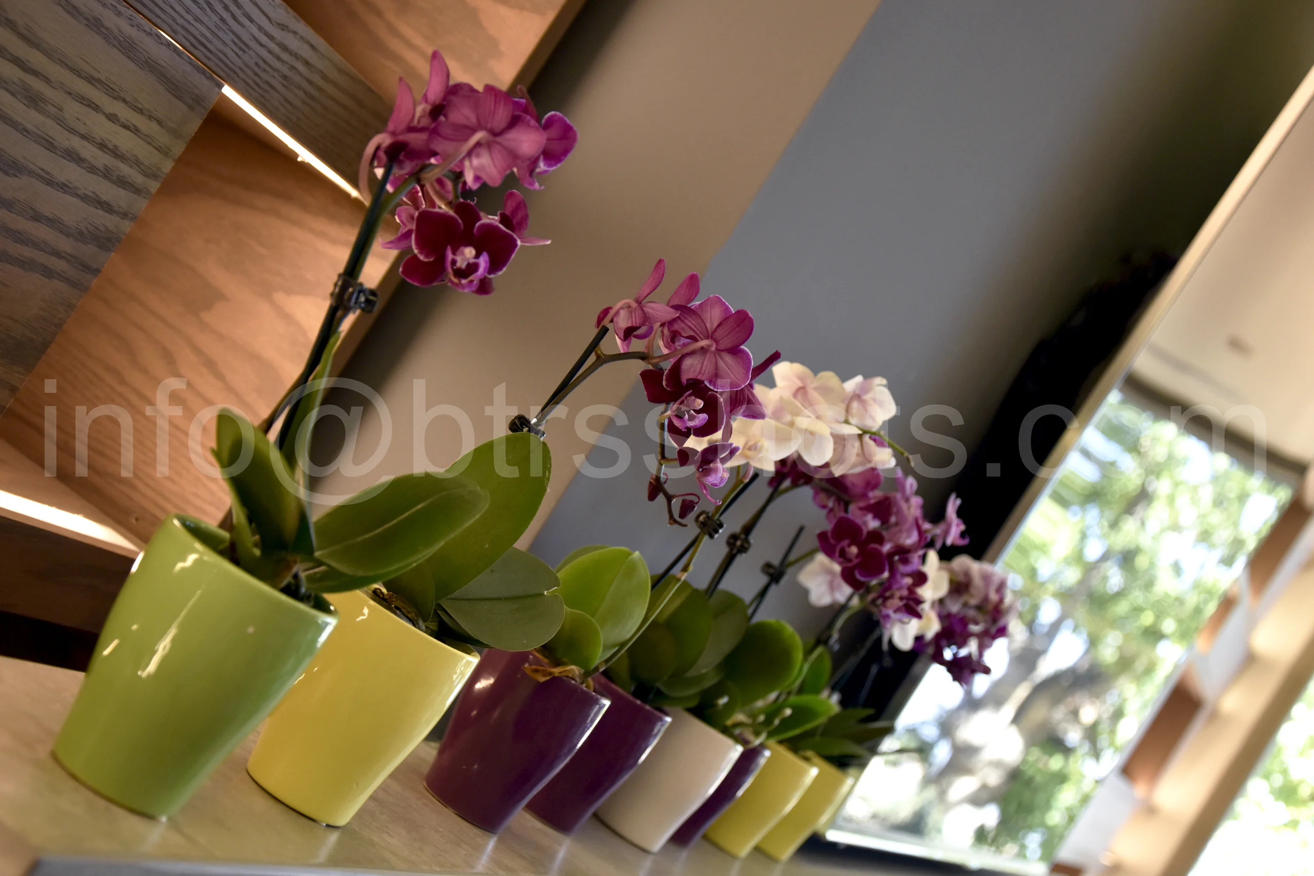 Closeup & Flowers photograph 34