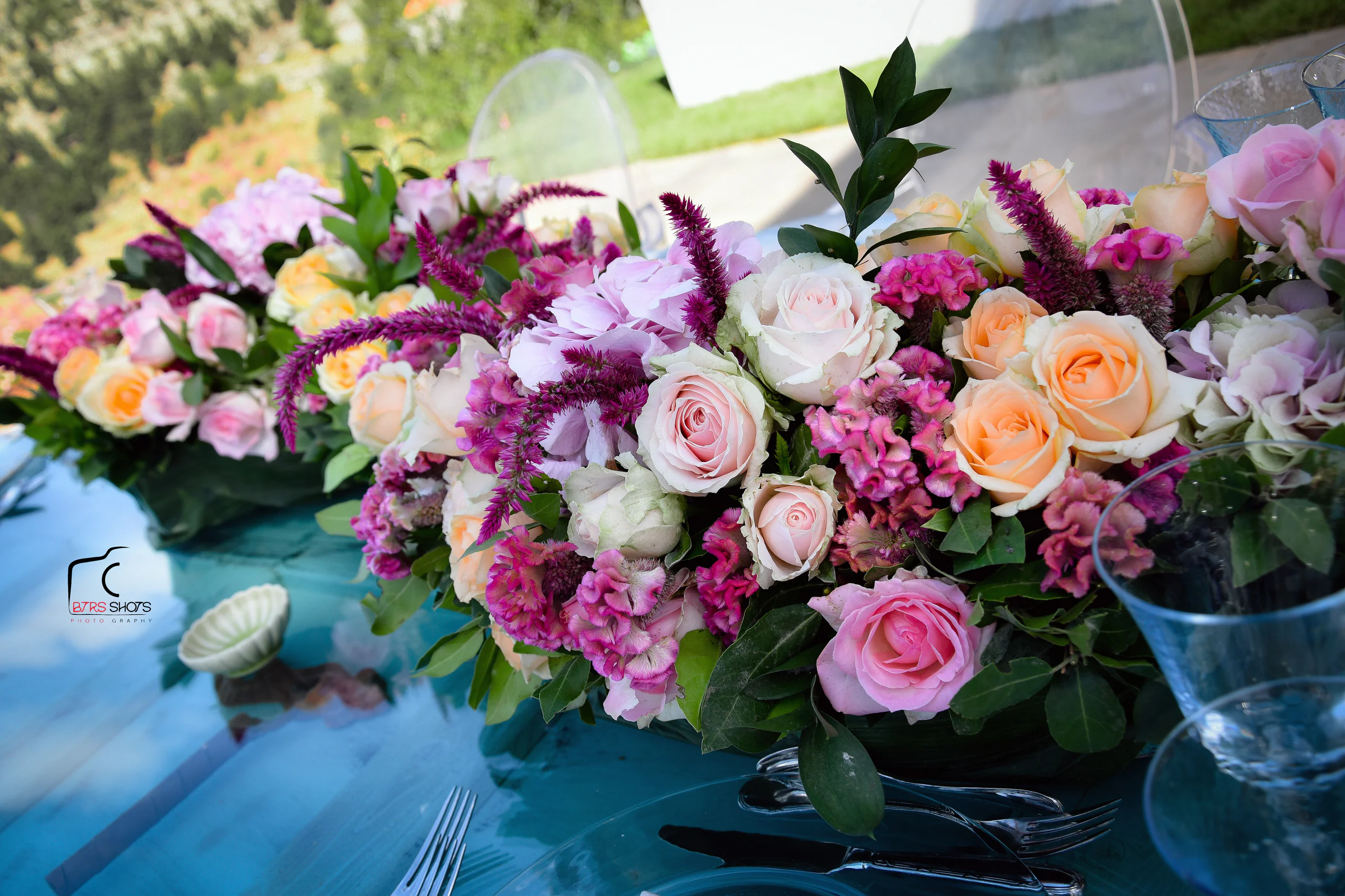 Closeup & Flowers photograph 36