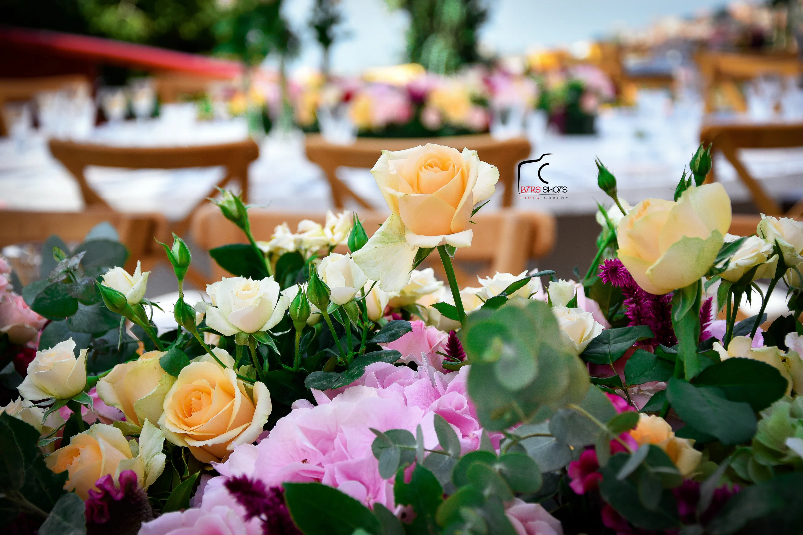 Closeup & Flowers photograph 37