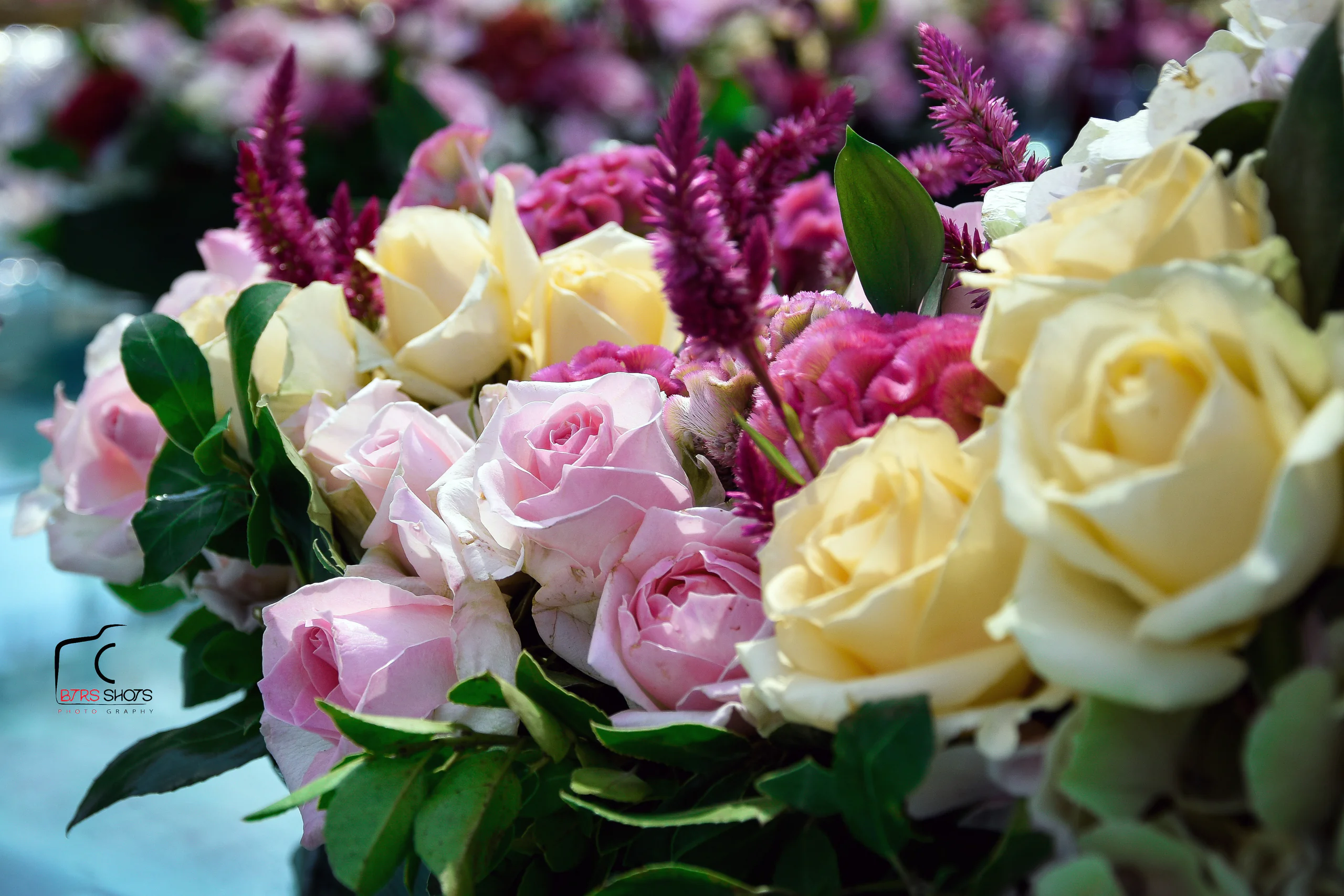 Closeup & Flowers photograph 38