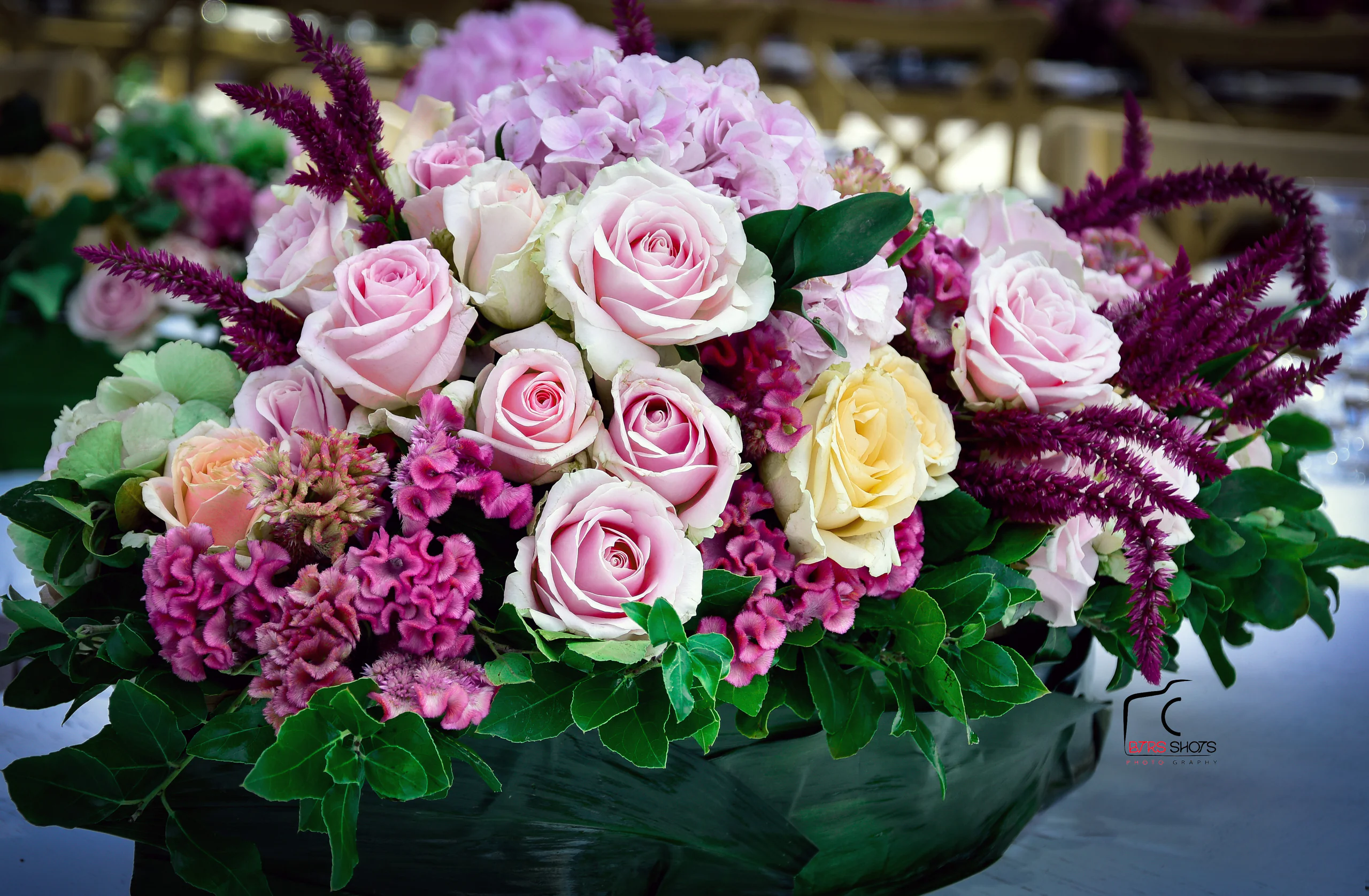 Closeup & Flowers photograph 39