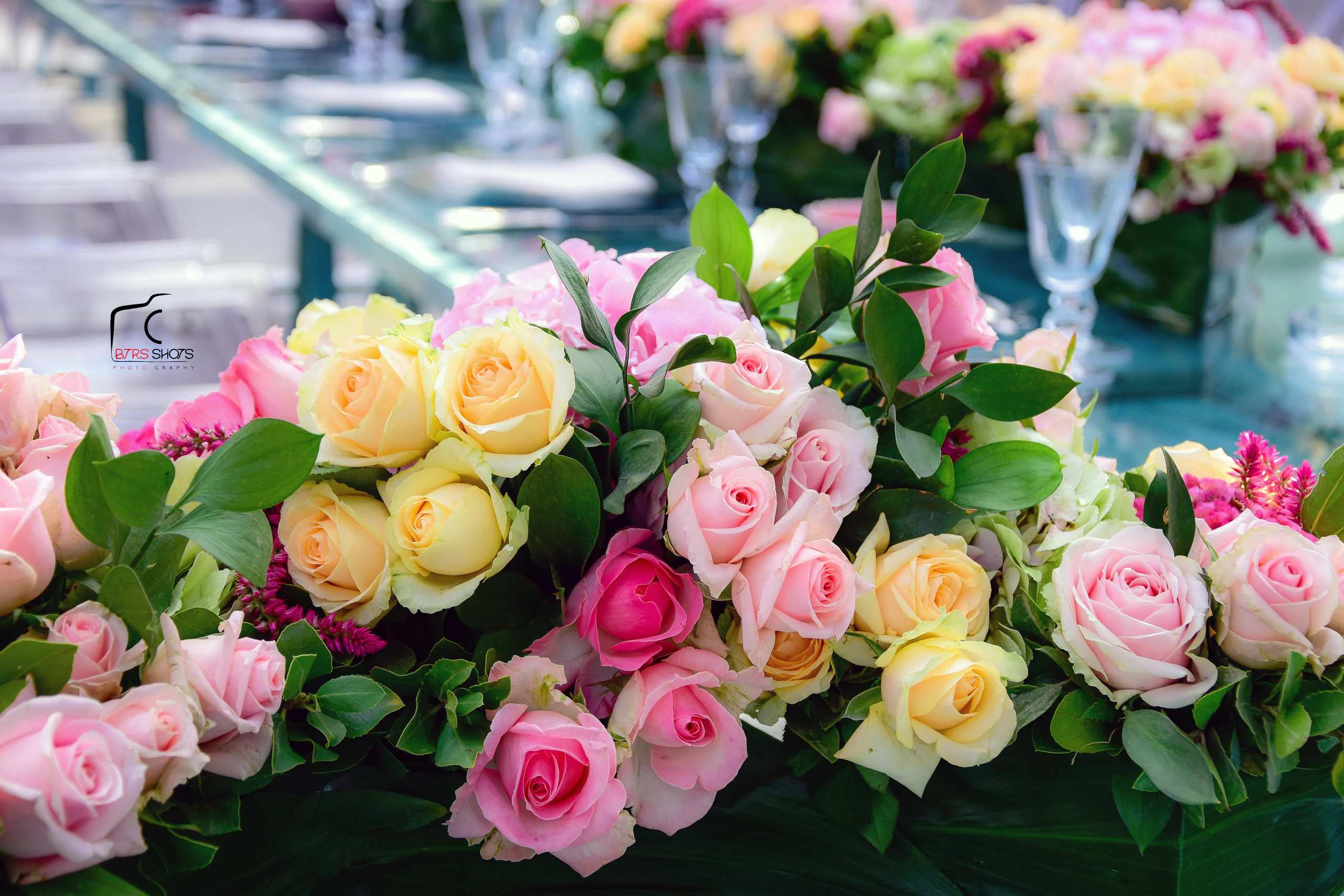 Closeup & Flowers photograph 40
