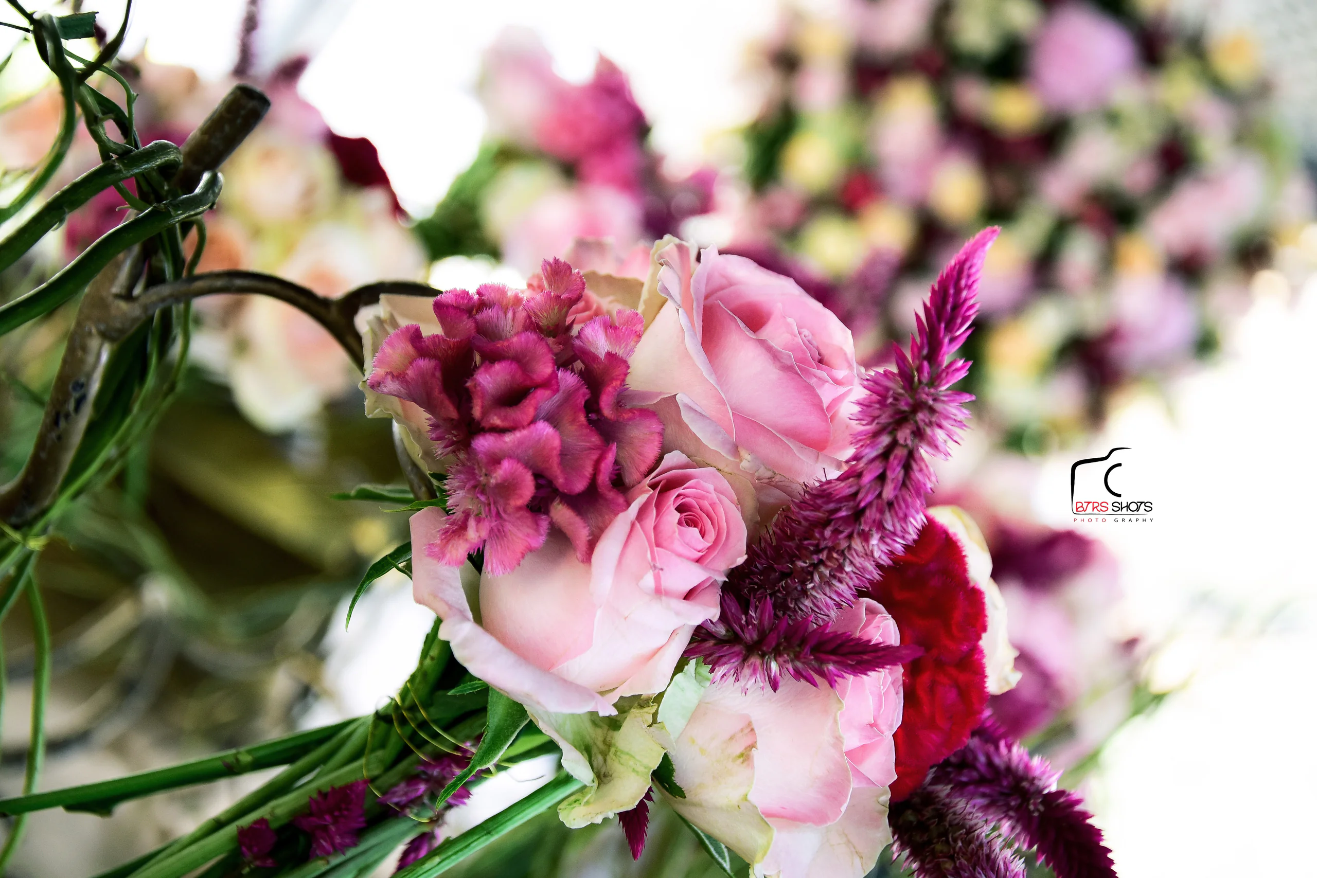 Closeup & Flowers photograph 41