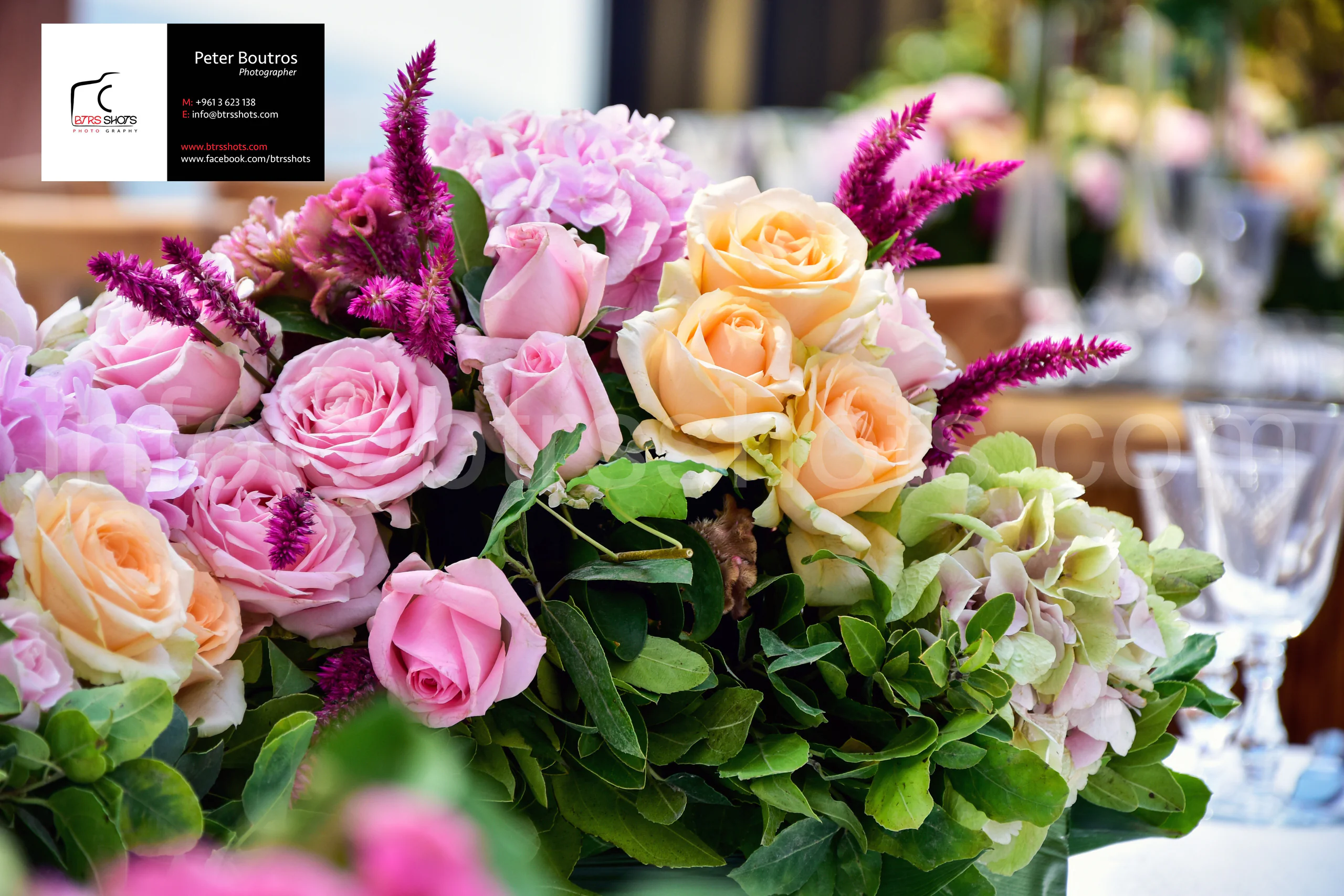Closeup & Flowers photograph 42