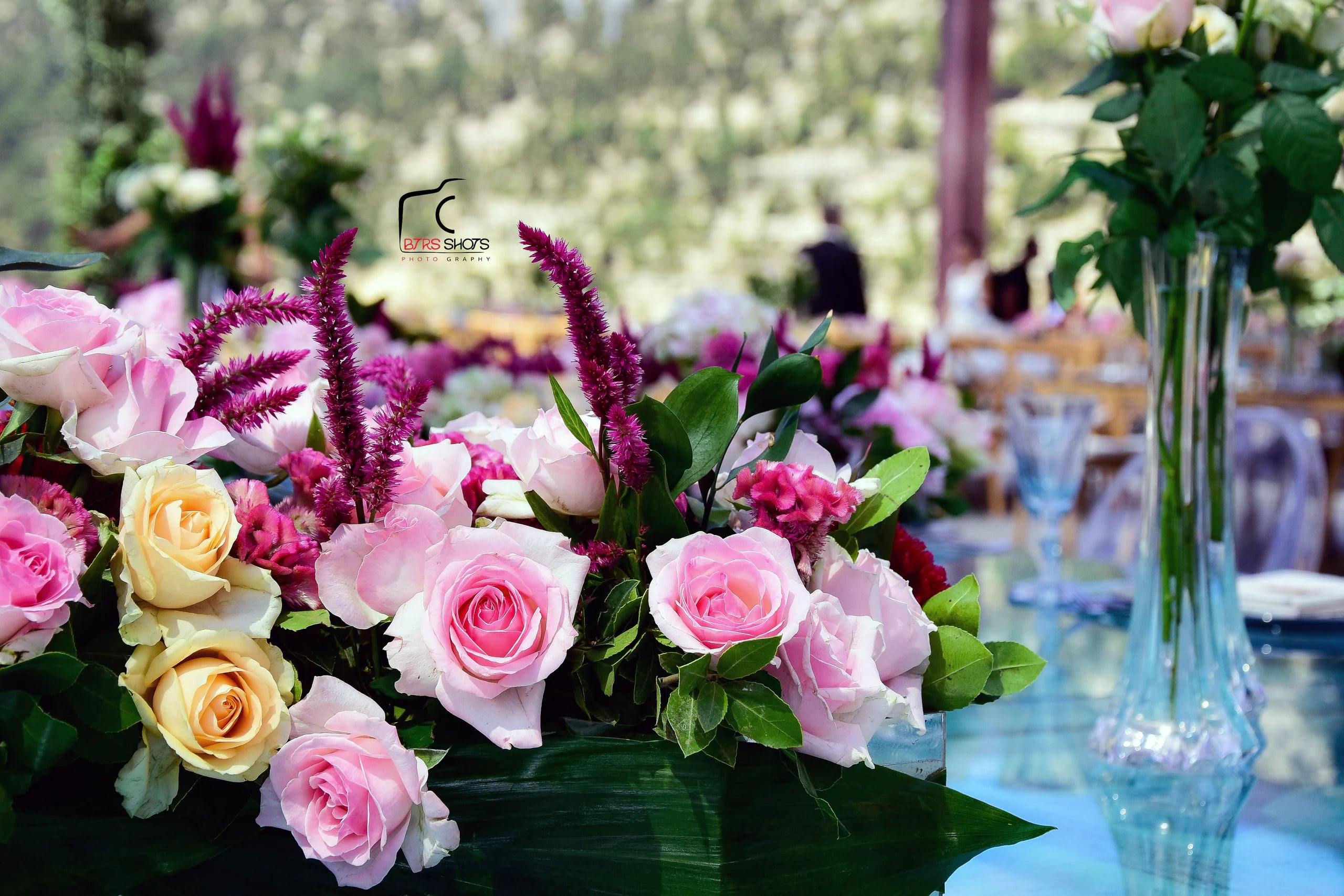 Closeup & Flowers photograph 43