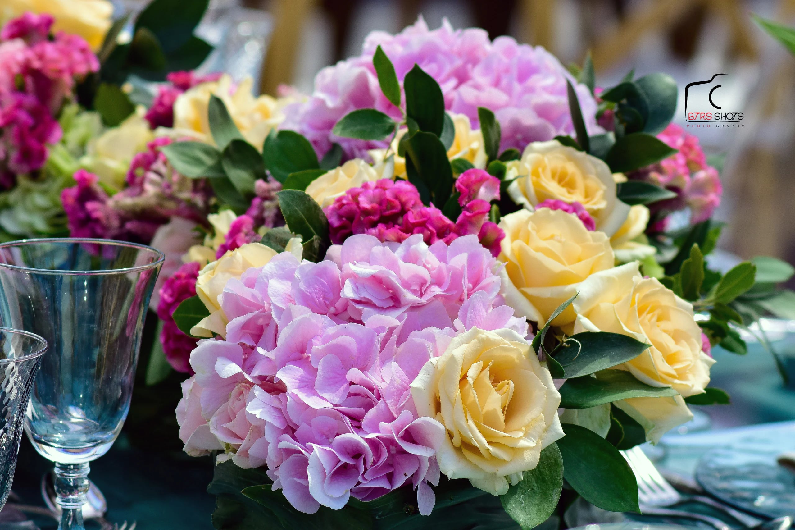 Closeup & Flowers photograph 44