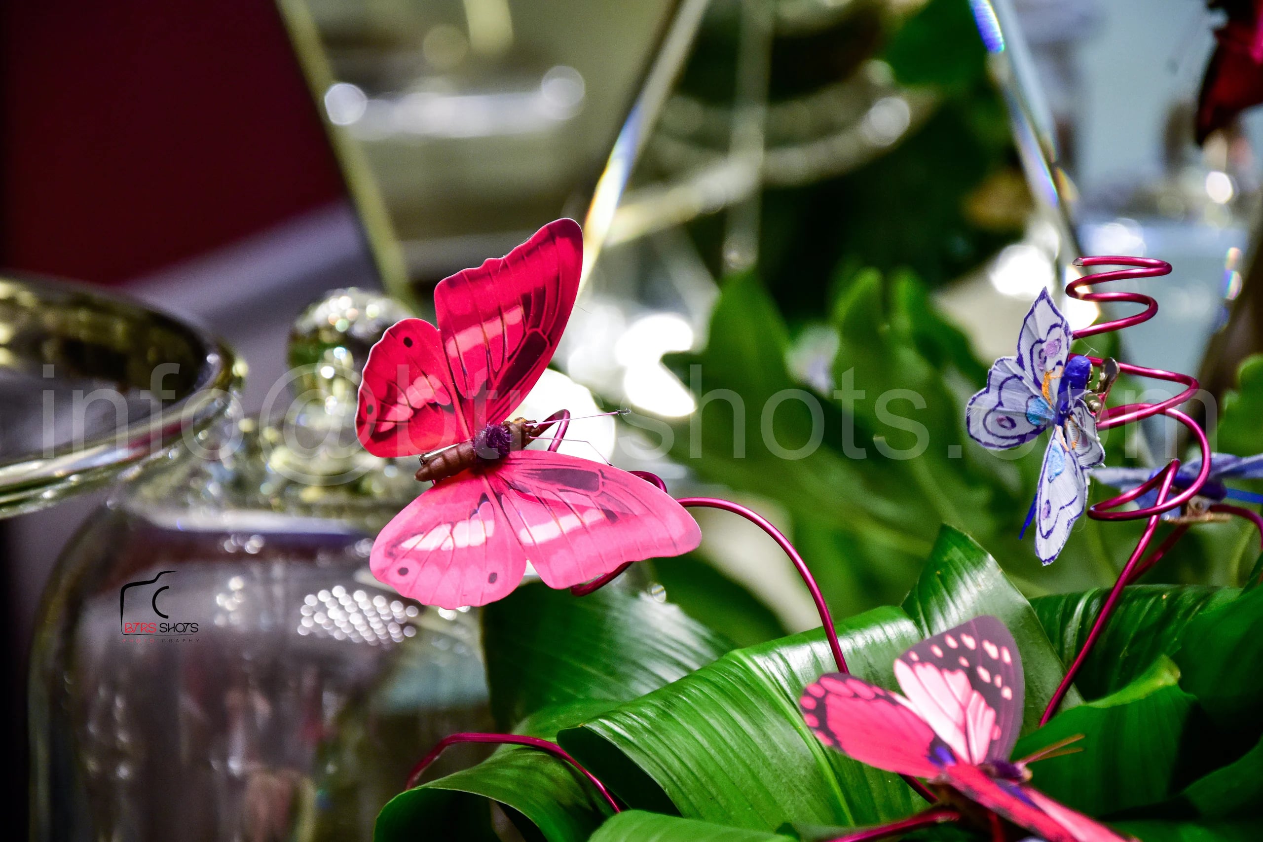 Closeup & Flowers photograph 49
