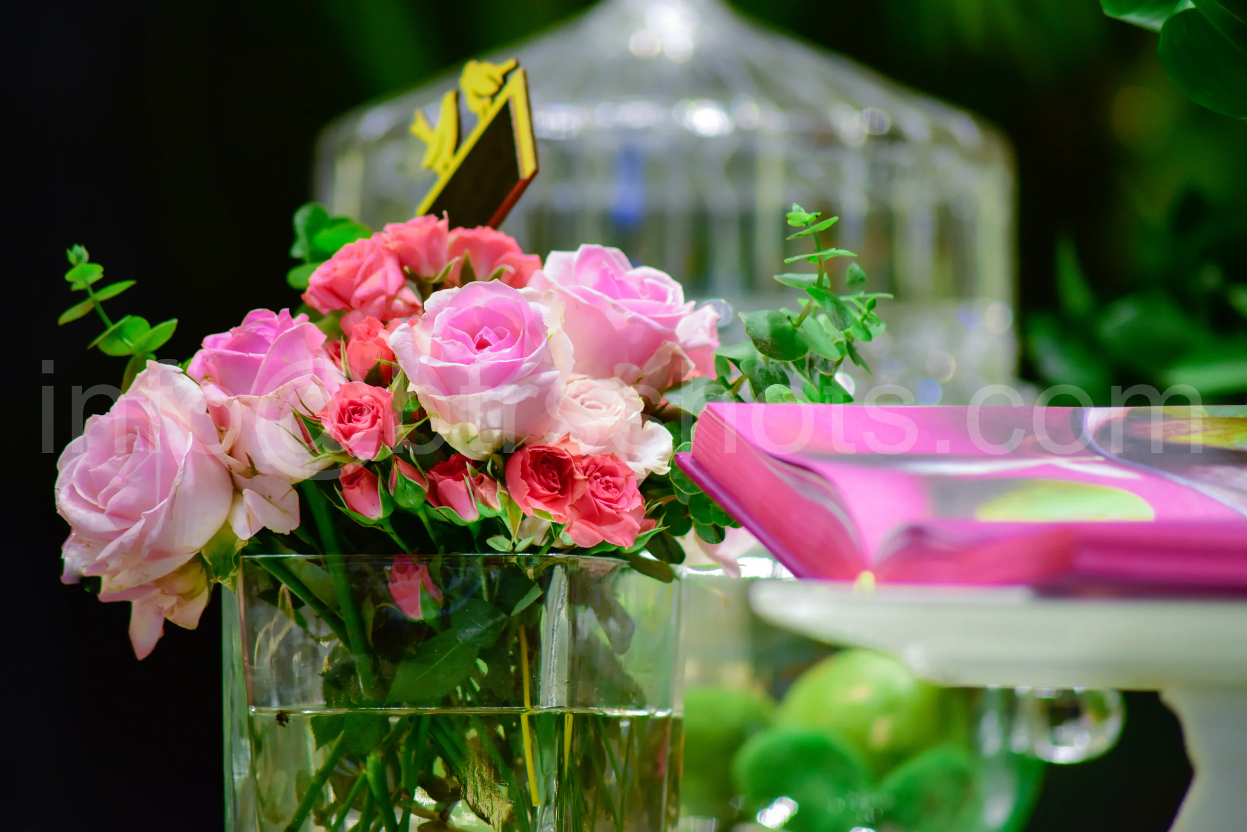 Closeup & Flowers photograph 53