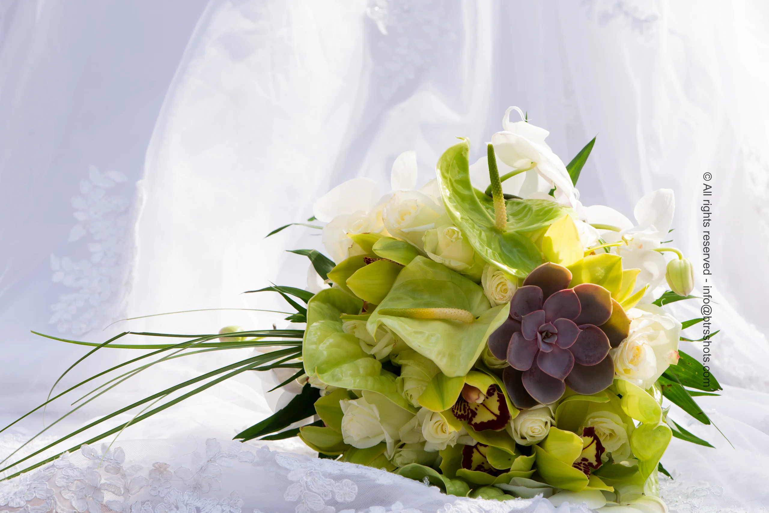 Closeup & Flowers photograph 62