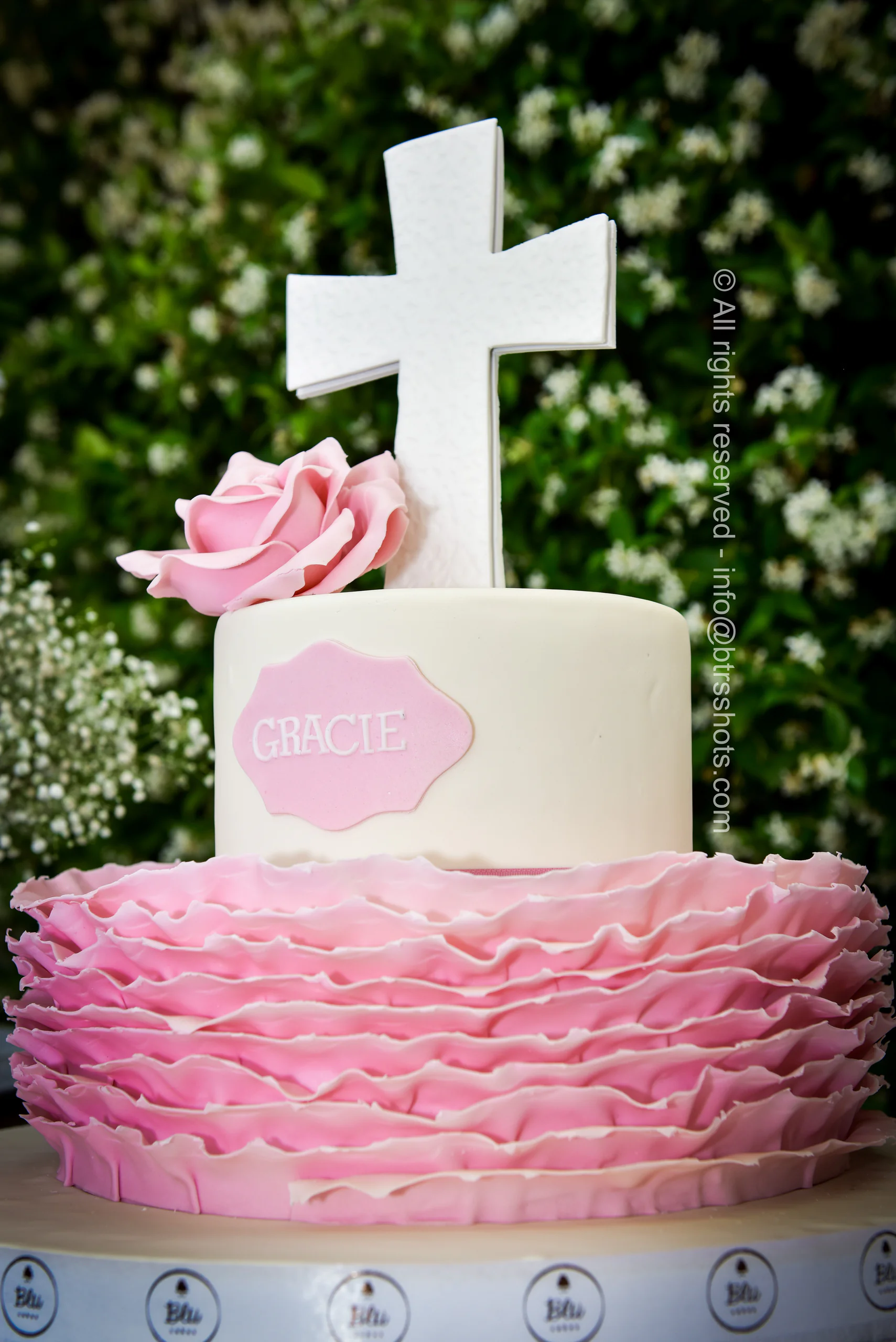 Closeup & Flowers photograph 66