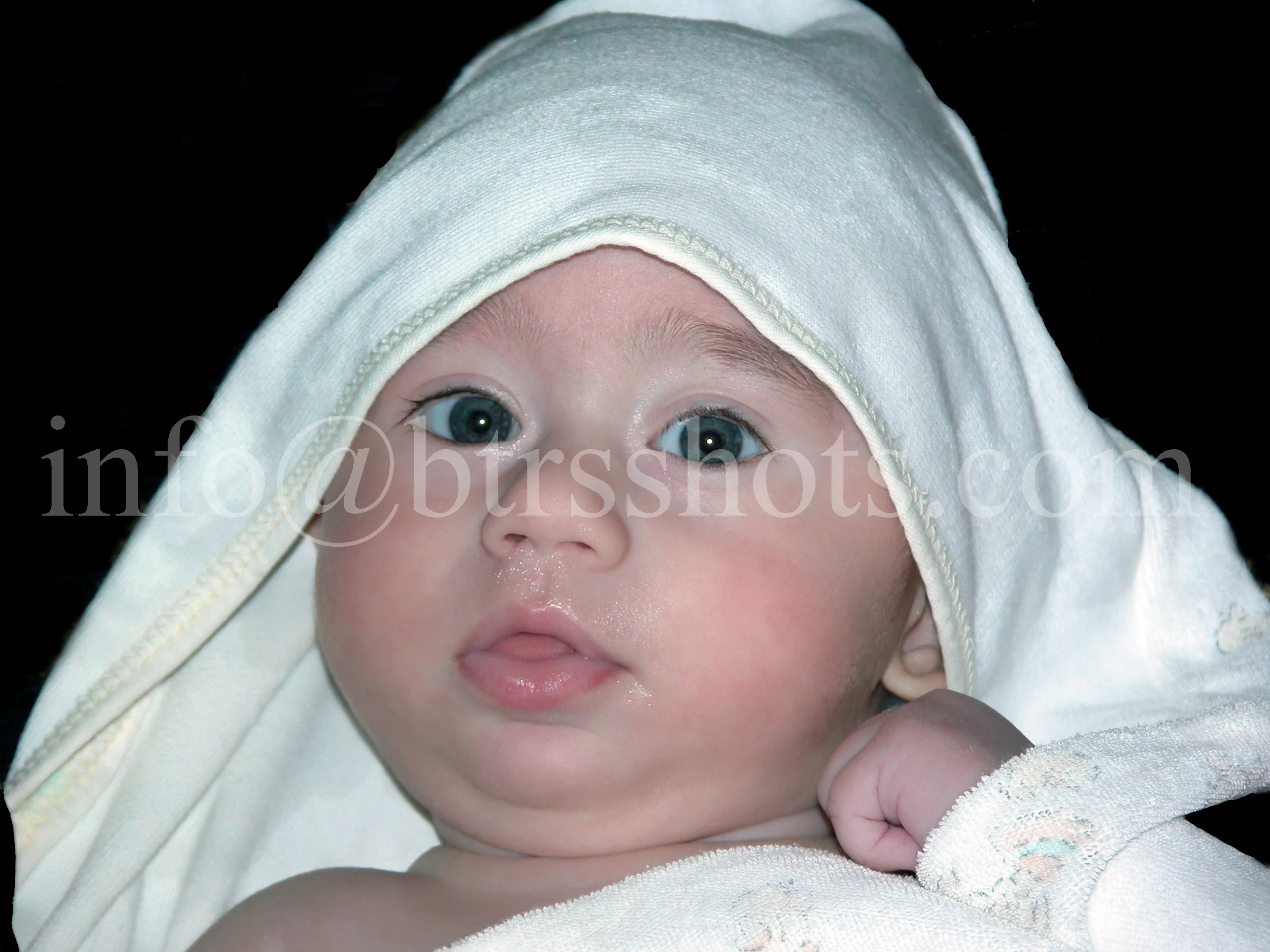 Holy Communion & Baptism photograph 18