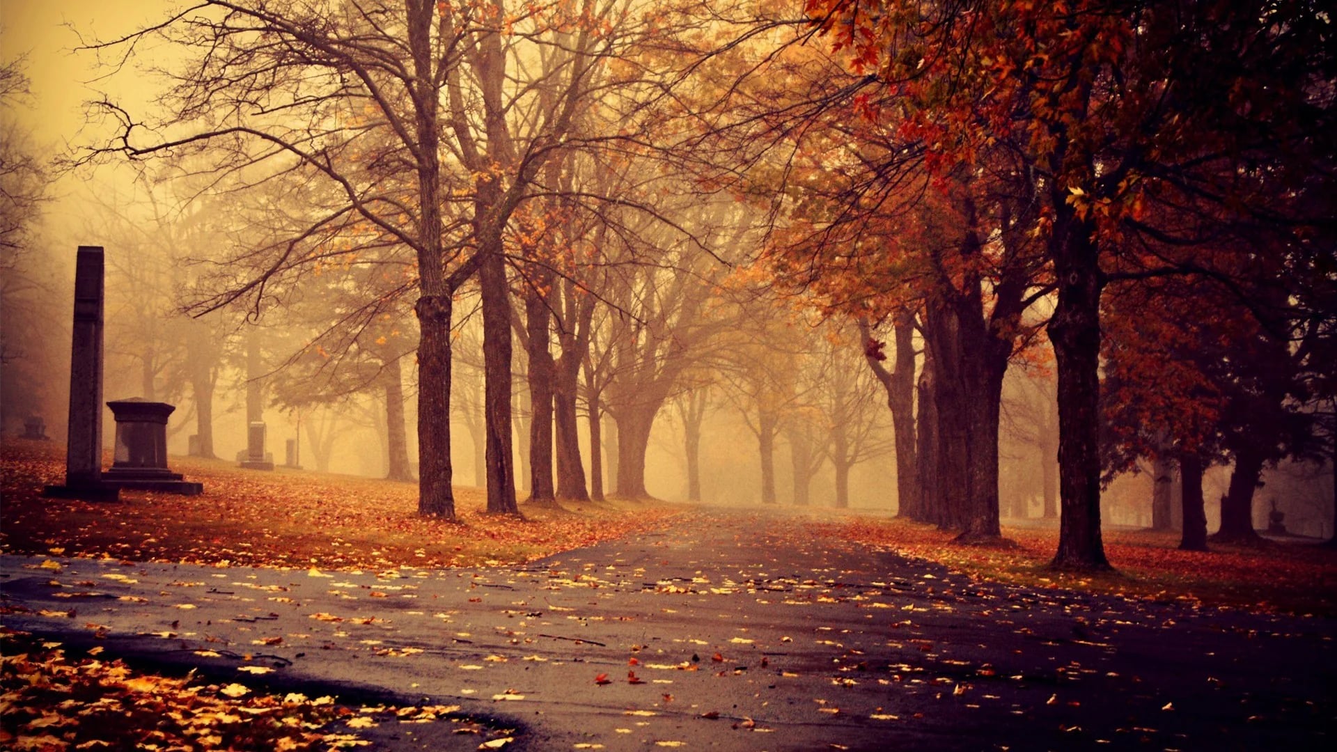 Nature & Landscapes photograph 1