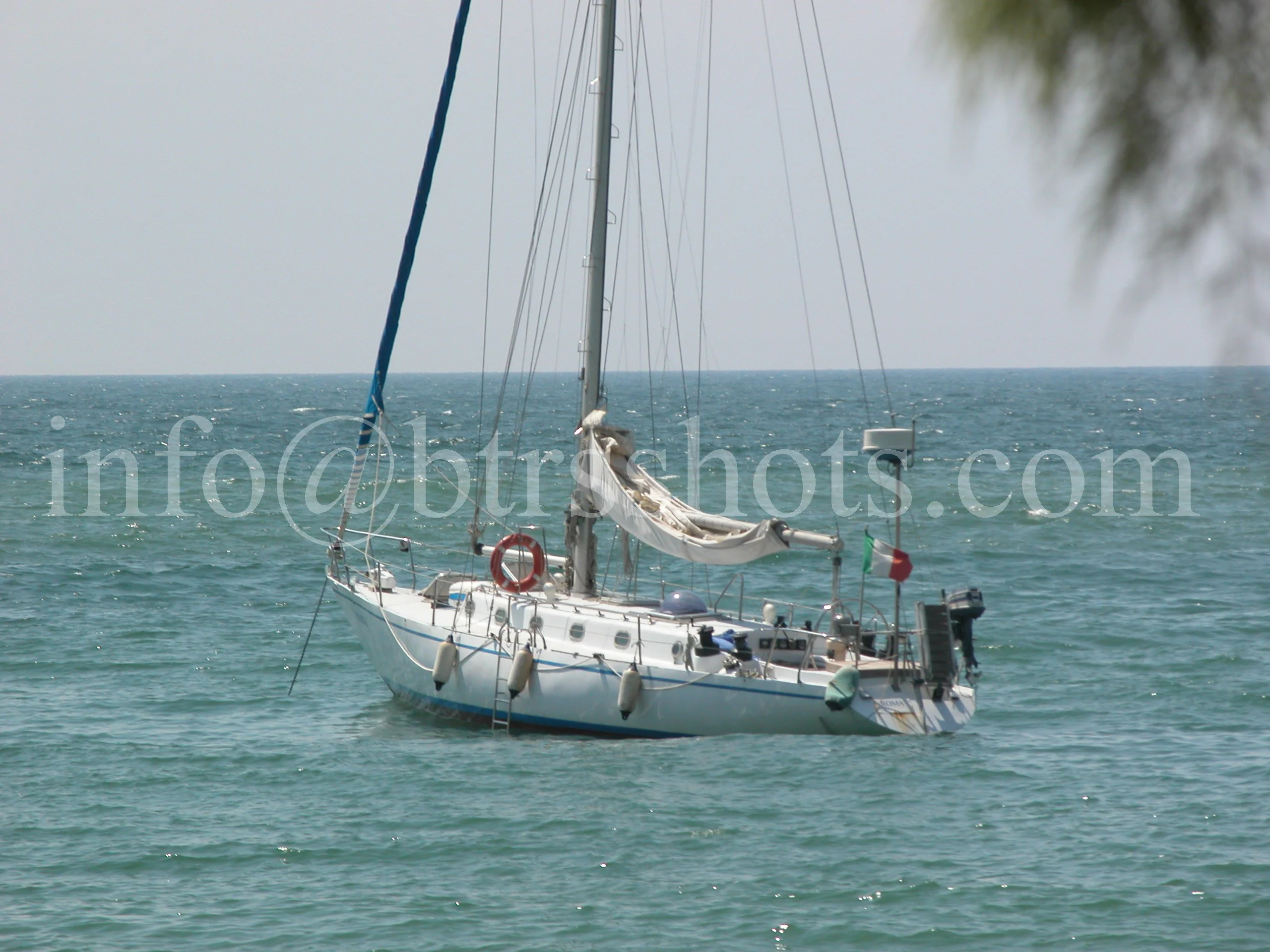 Nature & Landscapes photograph 2