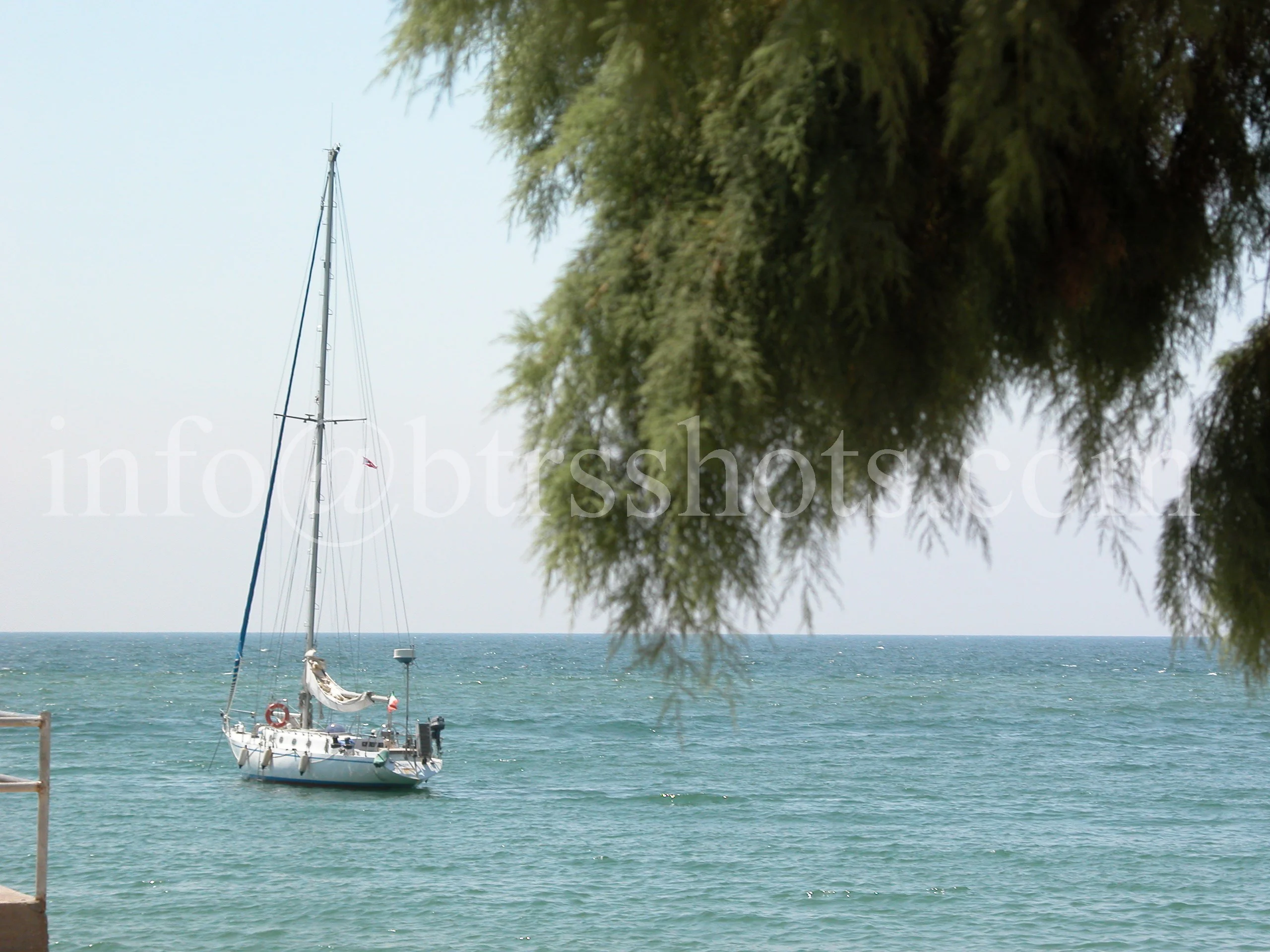 Nature & Landscapes photograph 3
