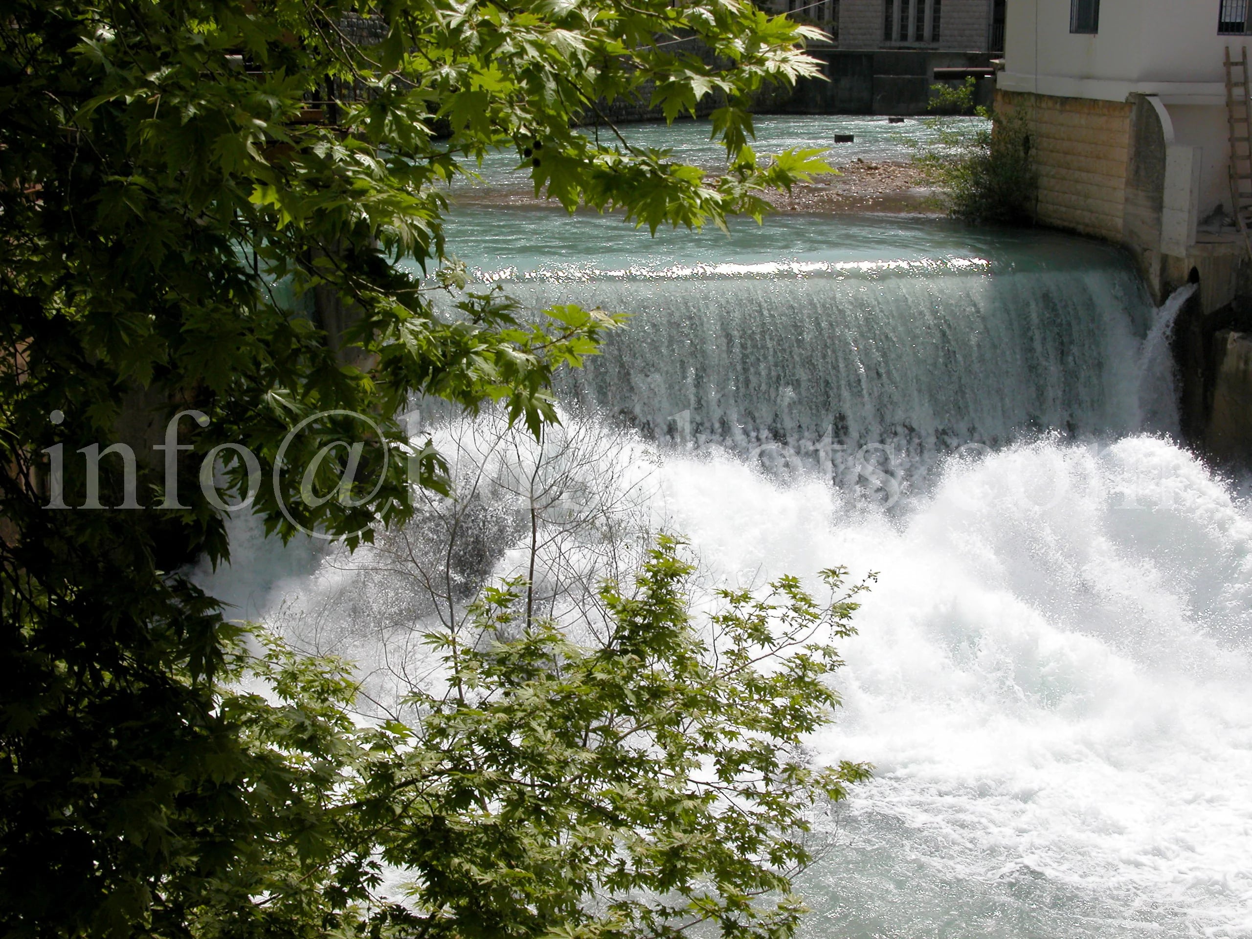 Nature & Landscapes photograph 5
