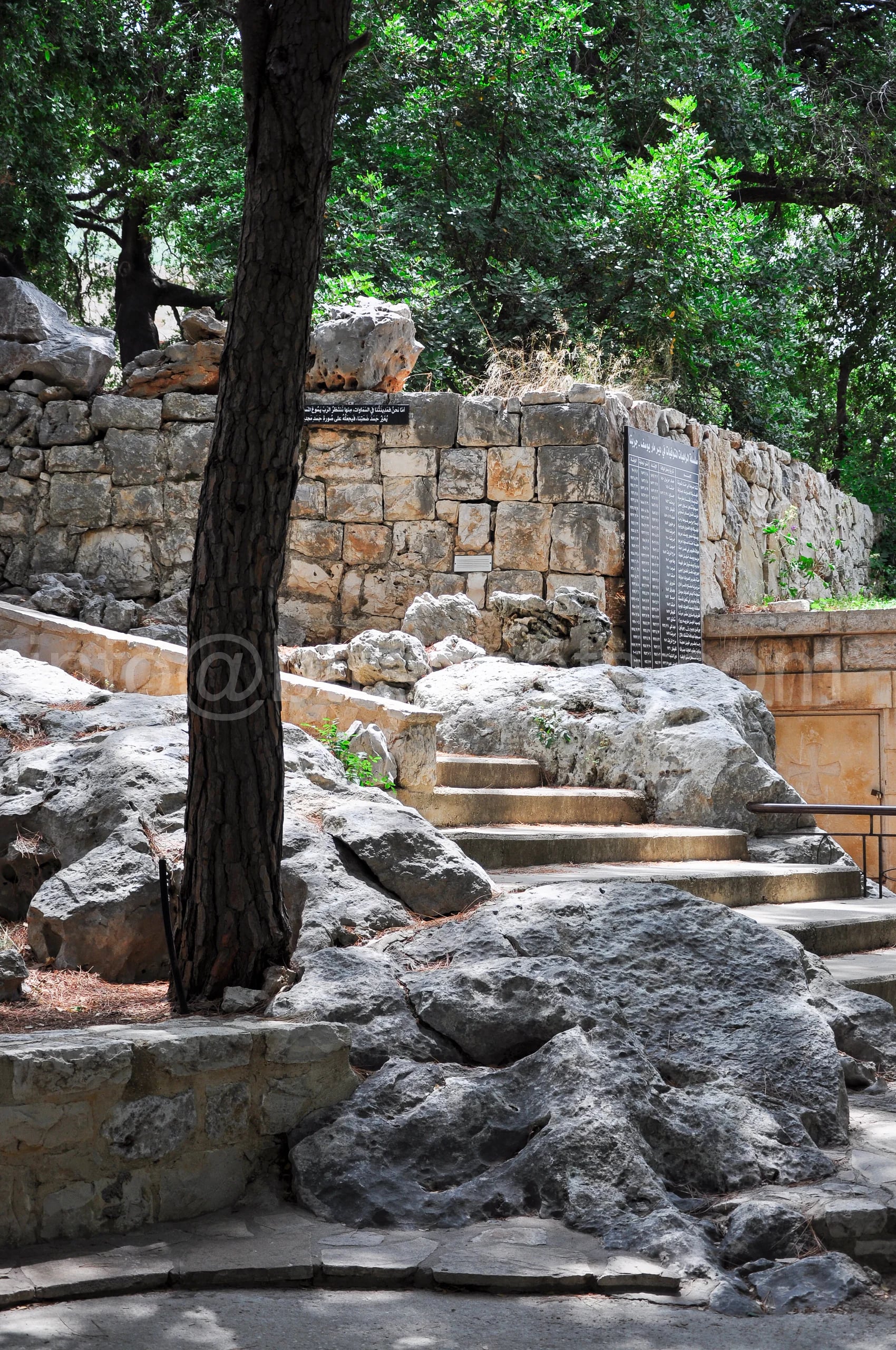 Nature & Landscapes photograph 12