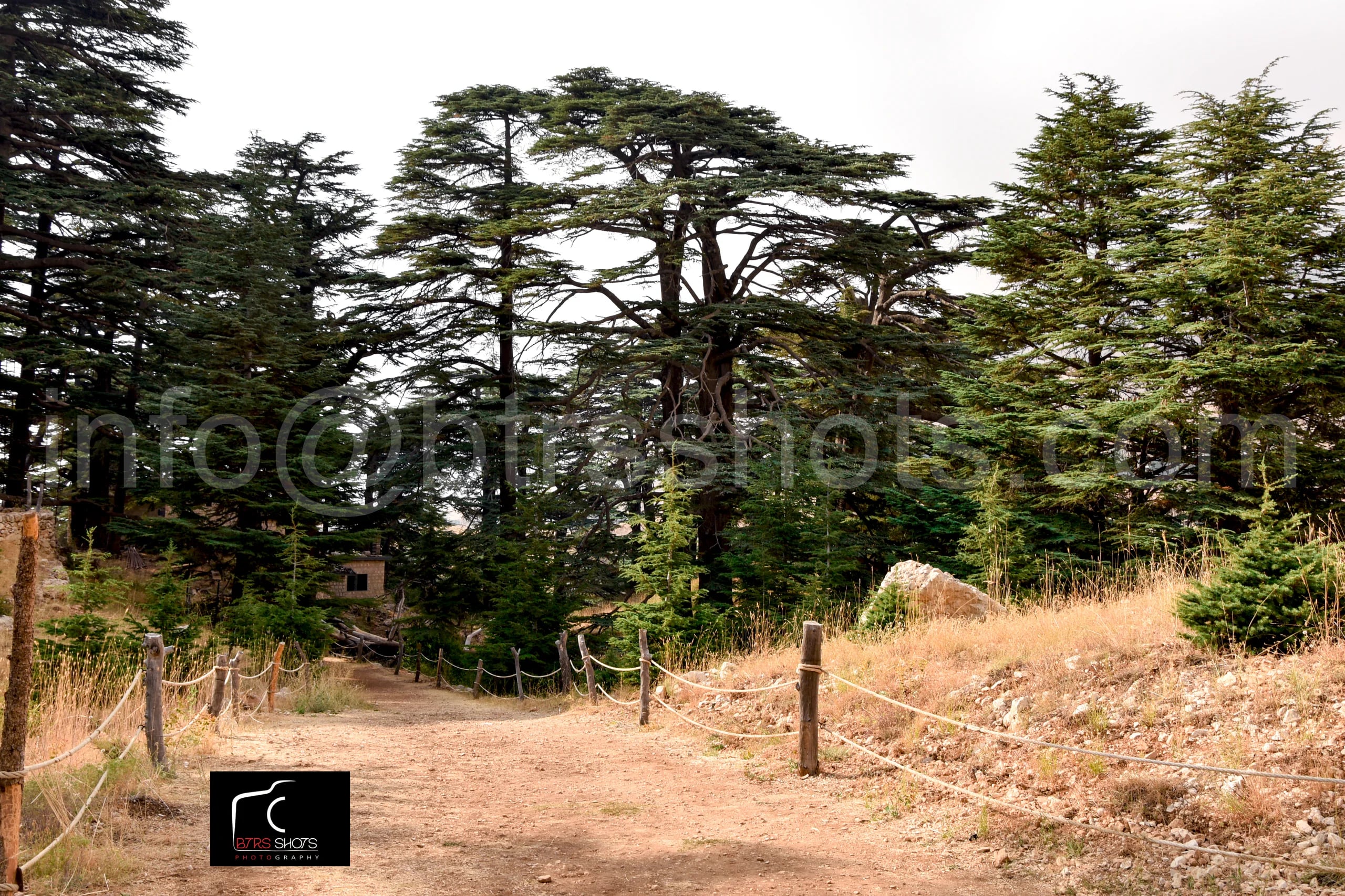Nature & Landscapes photograph 17