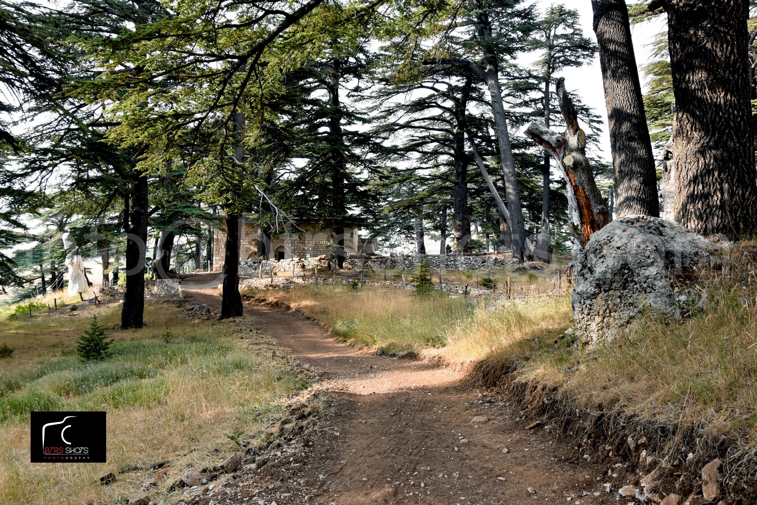 Nature & Landscapes photograph 23