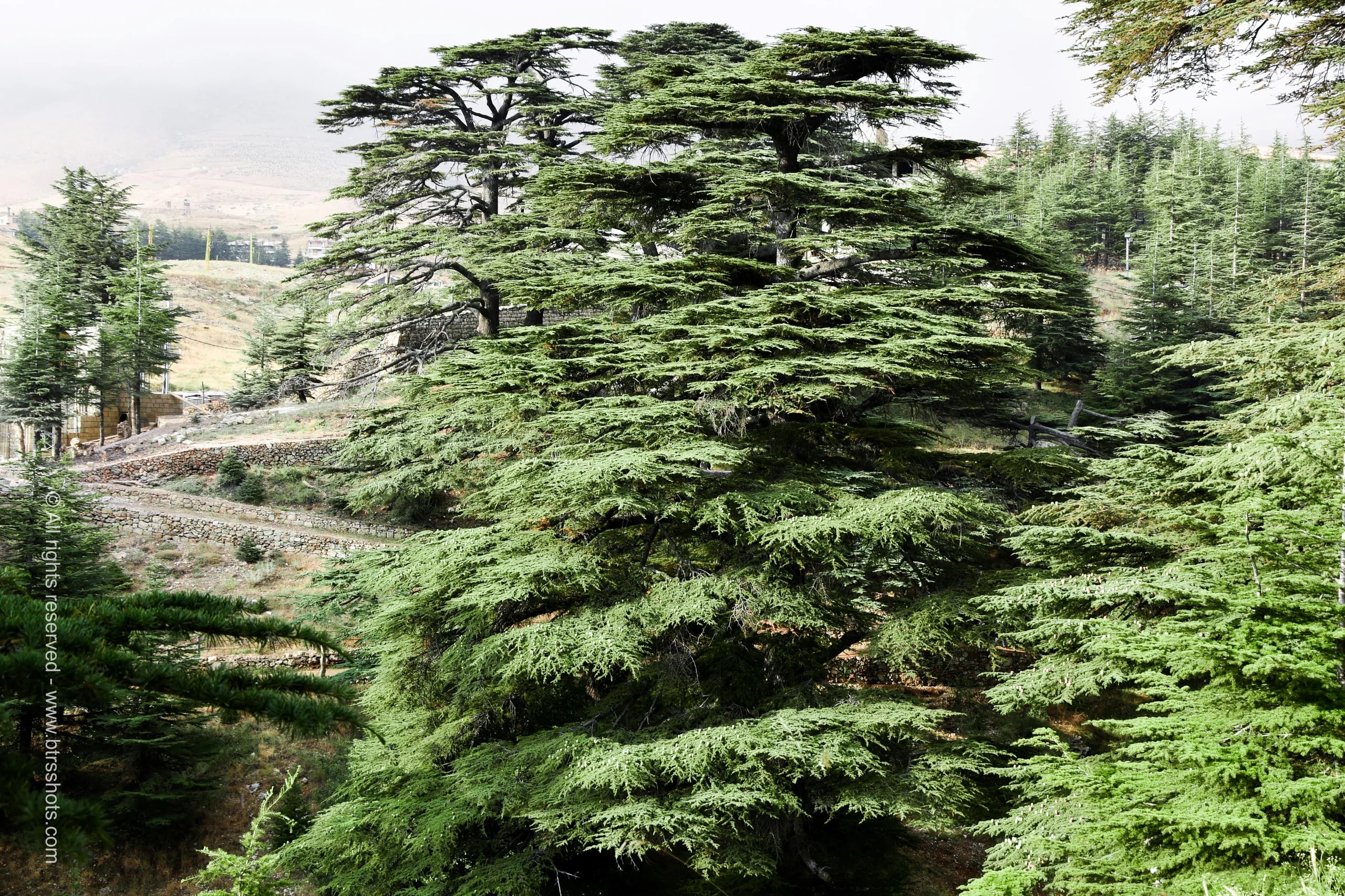Nature & Landscapes photograph 27