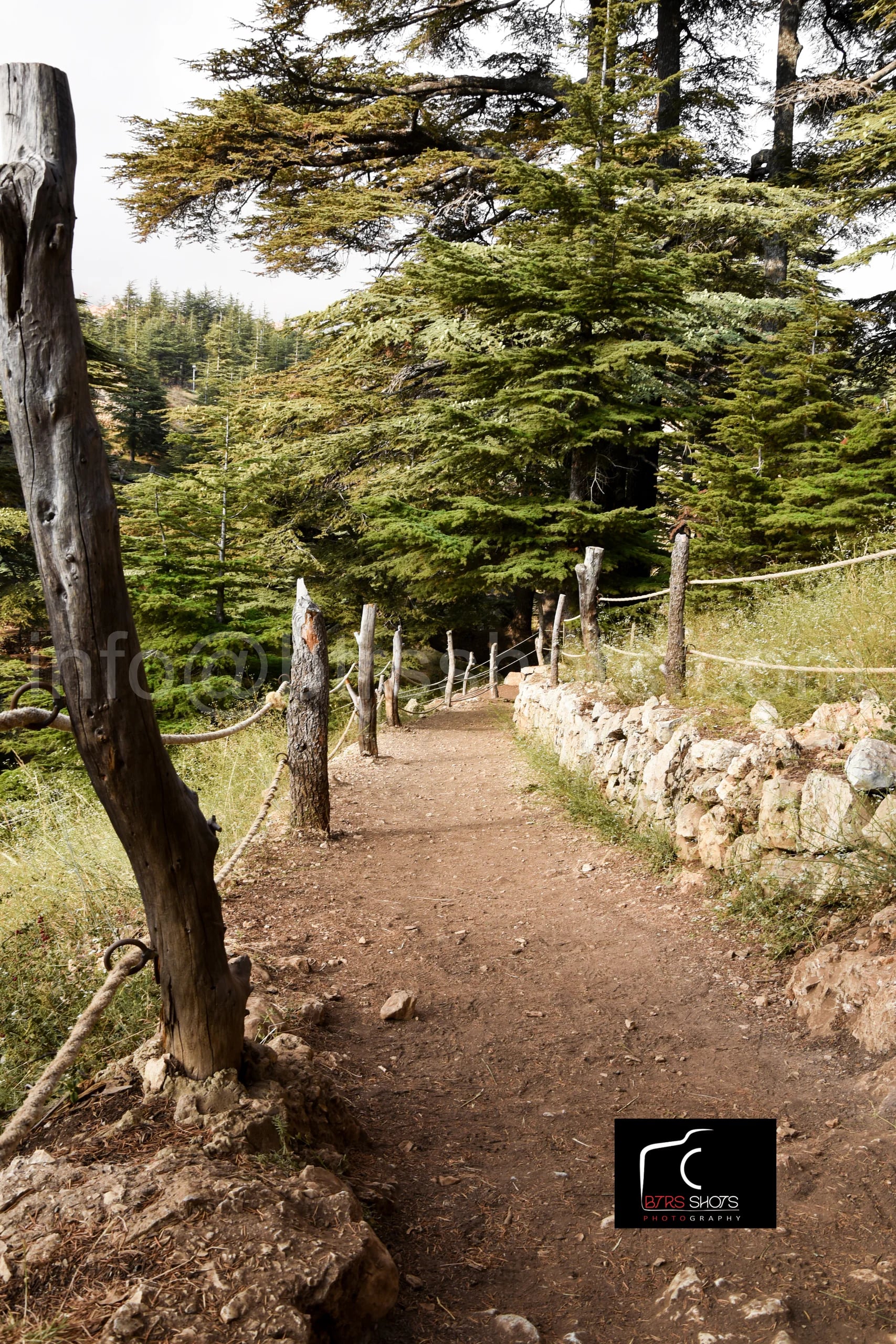 Nature & Landscapes photograph 29