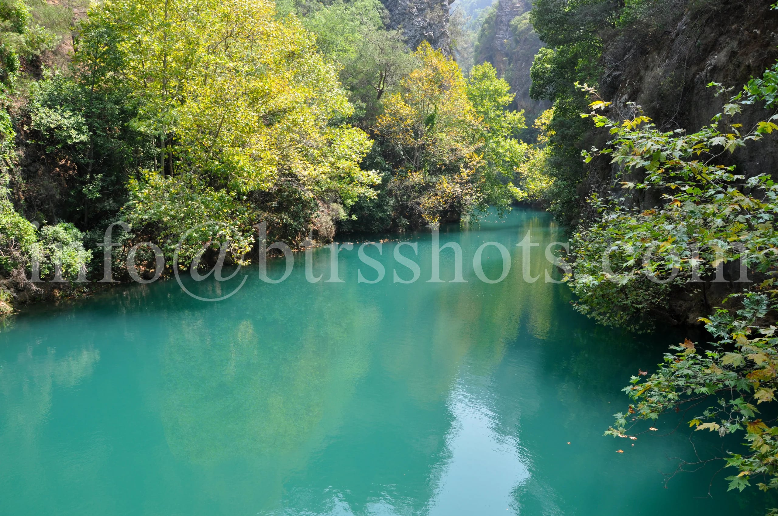Nature & Landscapes photograph 41