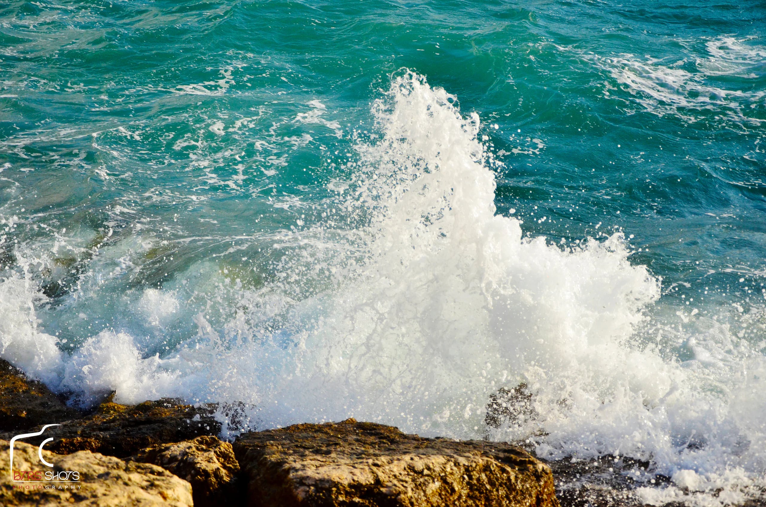 Nature & Landscapes photograph 64