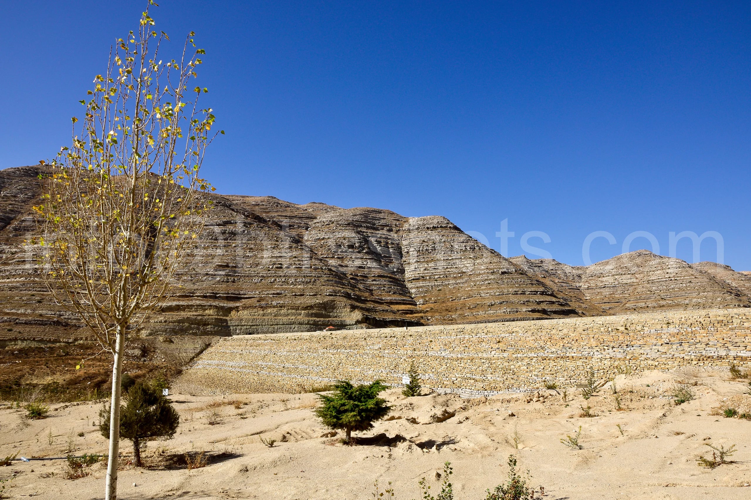 Nature & Landscapes photograph 90