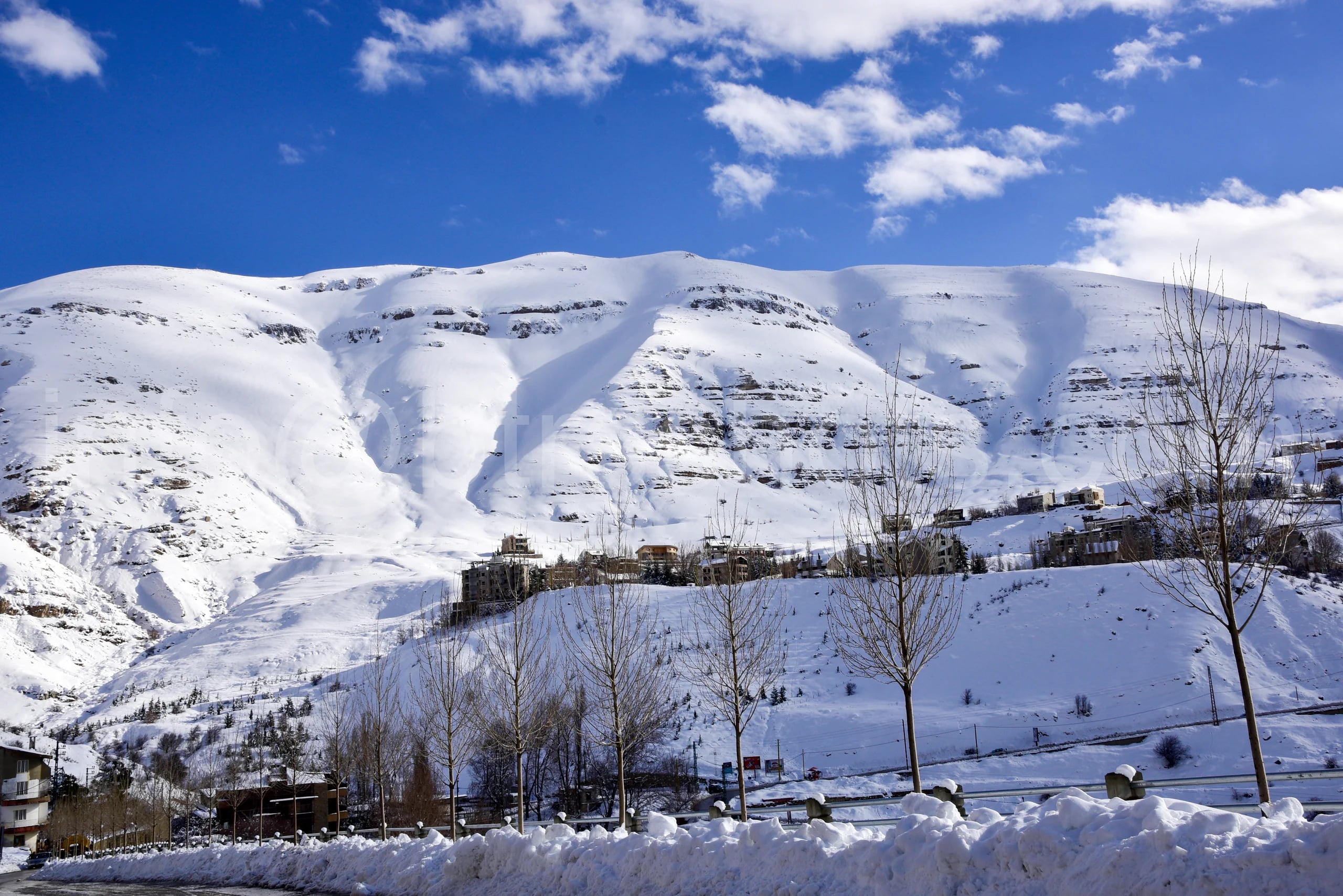 Nature & Landscapes photograph 100