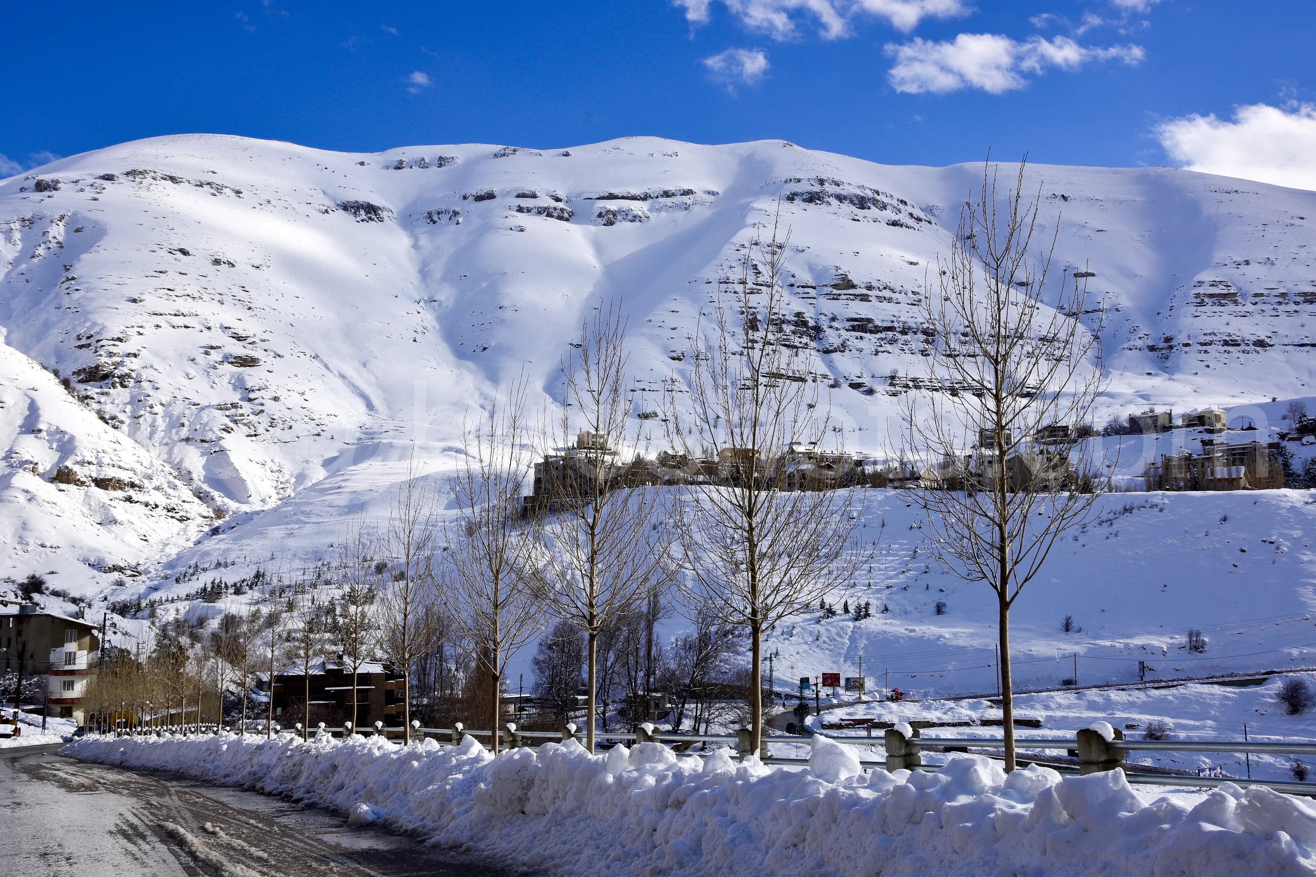 Nature & Landscapes photograph 101