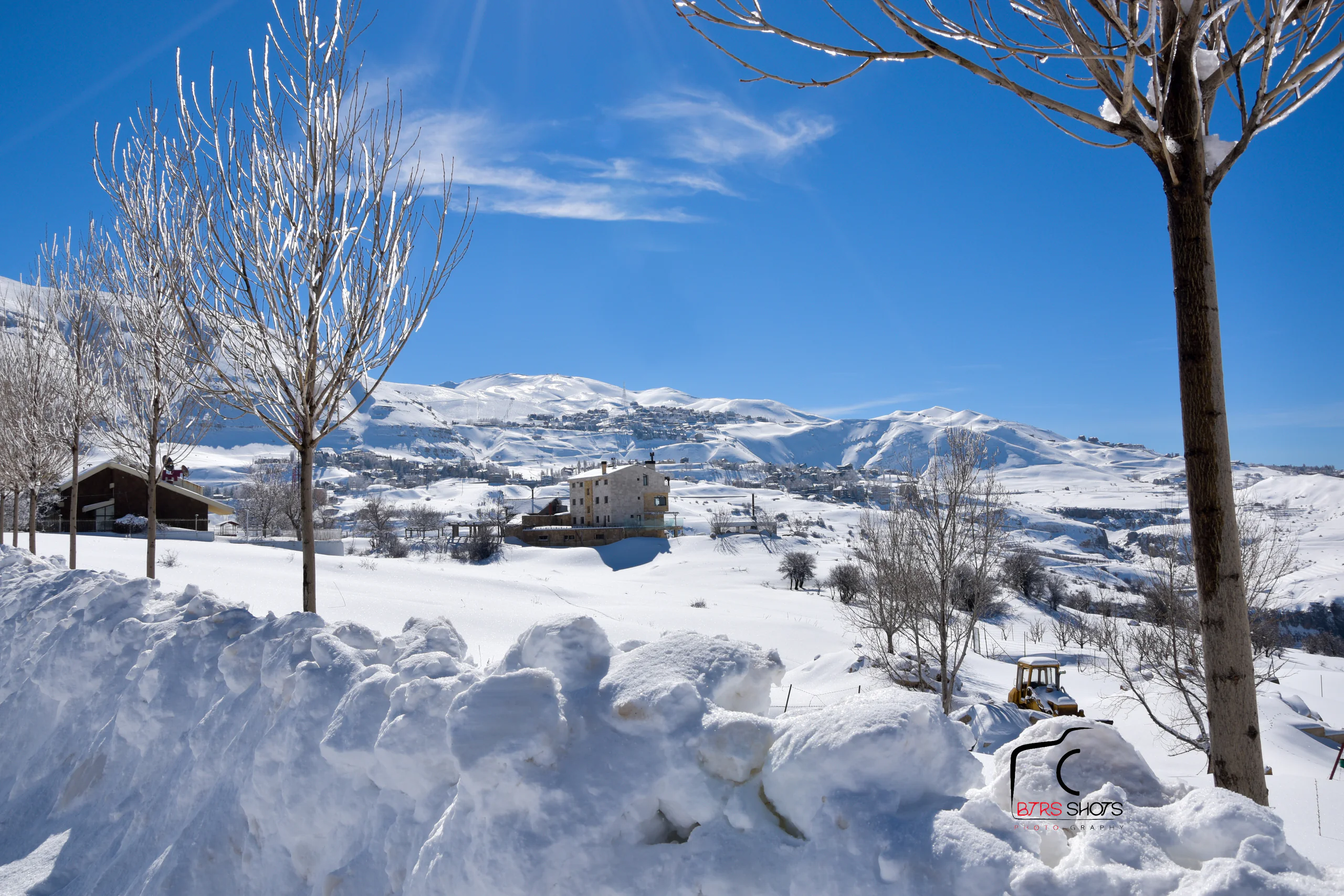 Nature & Landscapes photograph 104