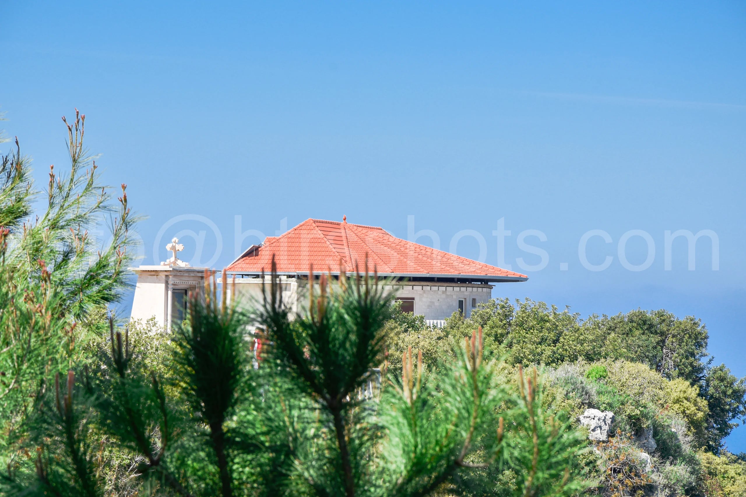 Nature & Landscapes photograph 117
