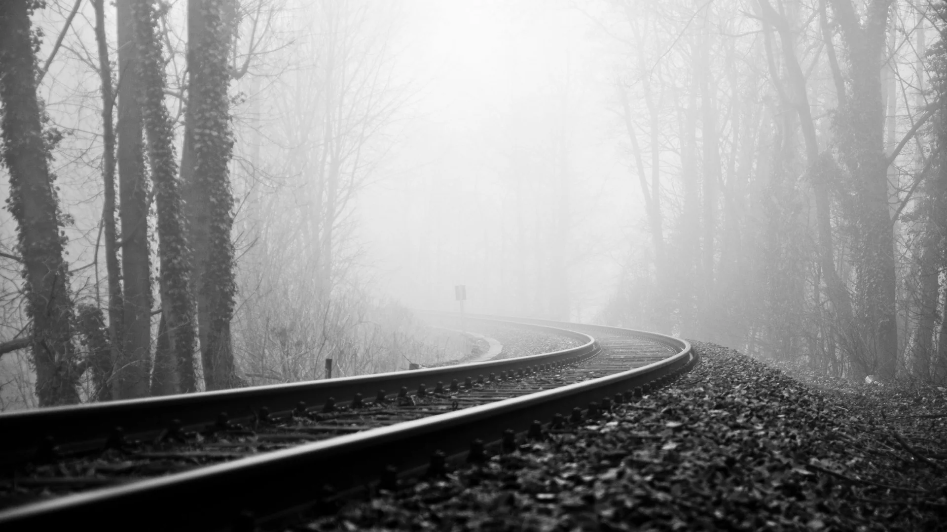 Featured photography by BTRSSHOTS
